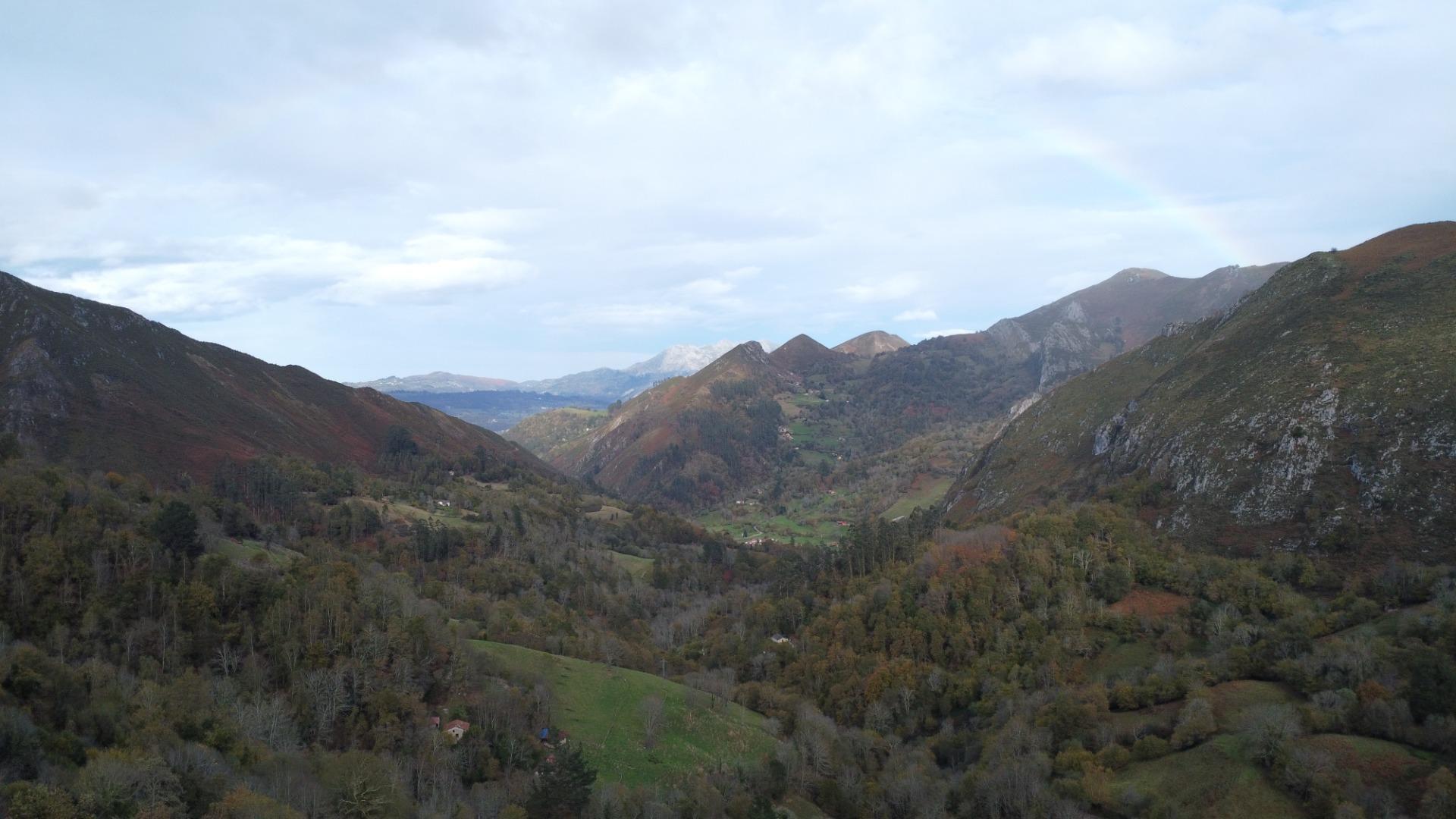 Casas o chalets-Venta-PiloÃ±a-1978447-Foto-20