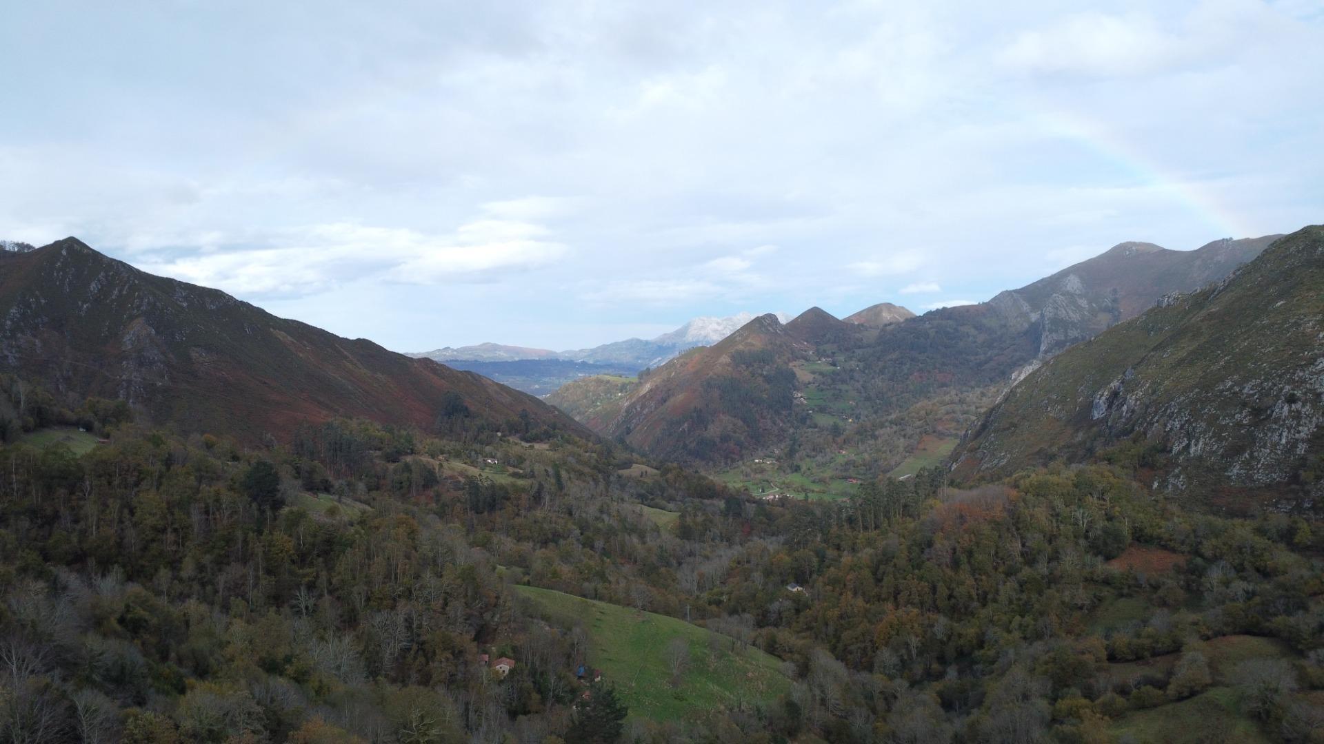 Casas o chalets-Venta-PiloÃ±a-1978447-Foto-21