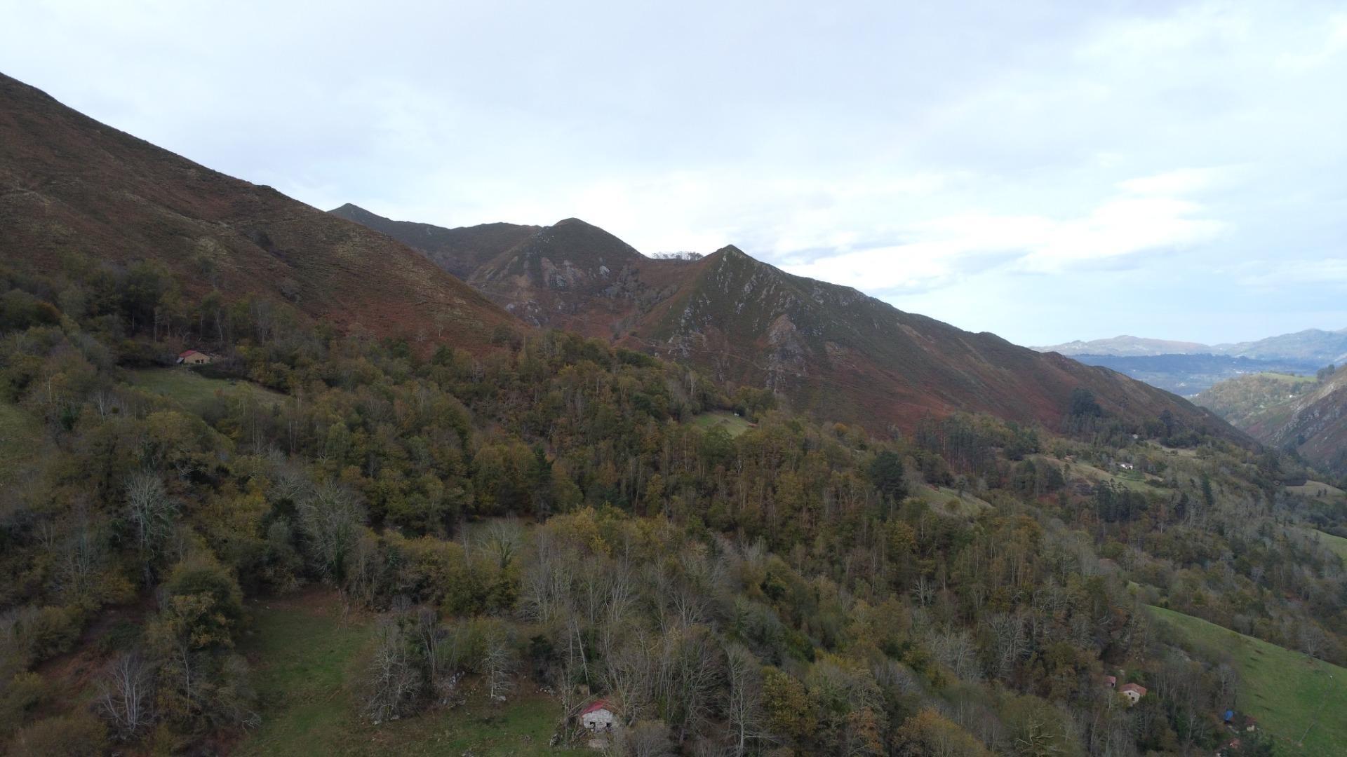 Casas o chalets-Venta-PiloÃ±a-1978447-Foto-22