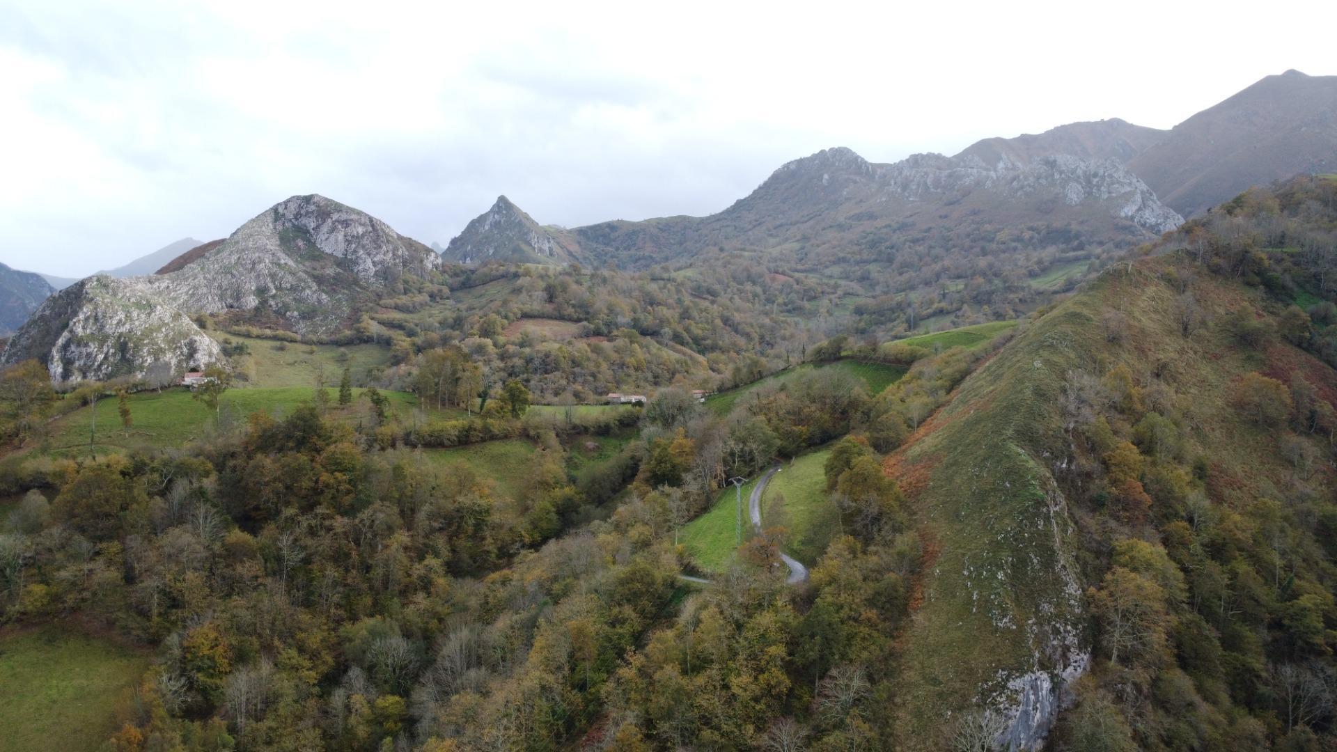 Casas o chalets-Venta-PiloÃ±a-1978447-Foto-24