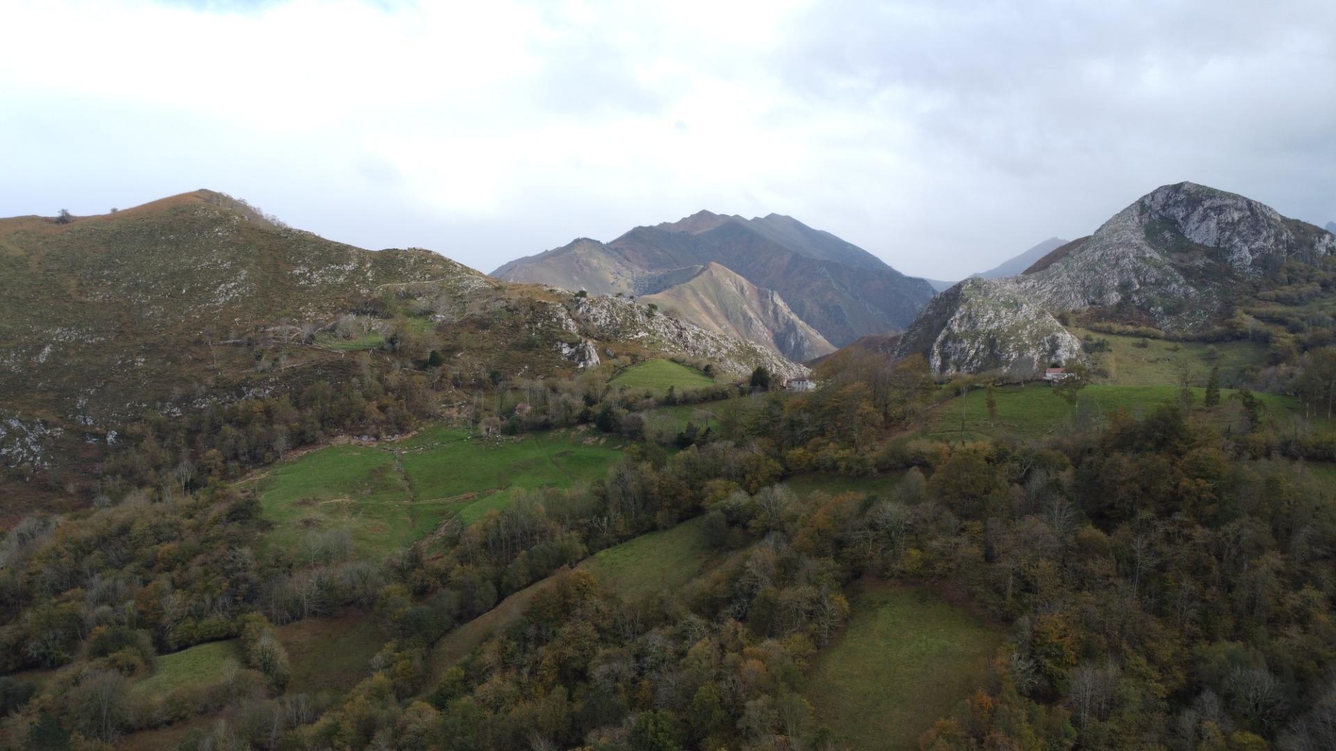 Casas o chalets-Venta-PiloÃ±a-1978447-Foto-23