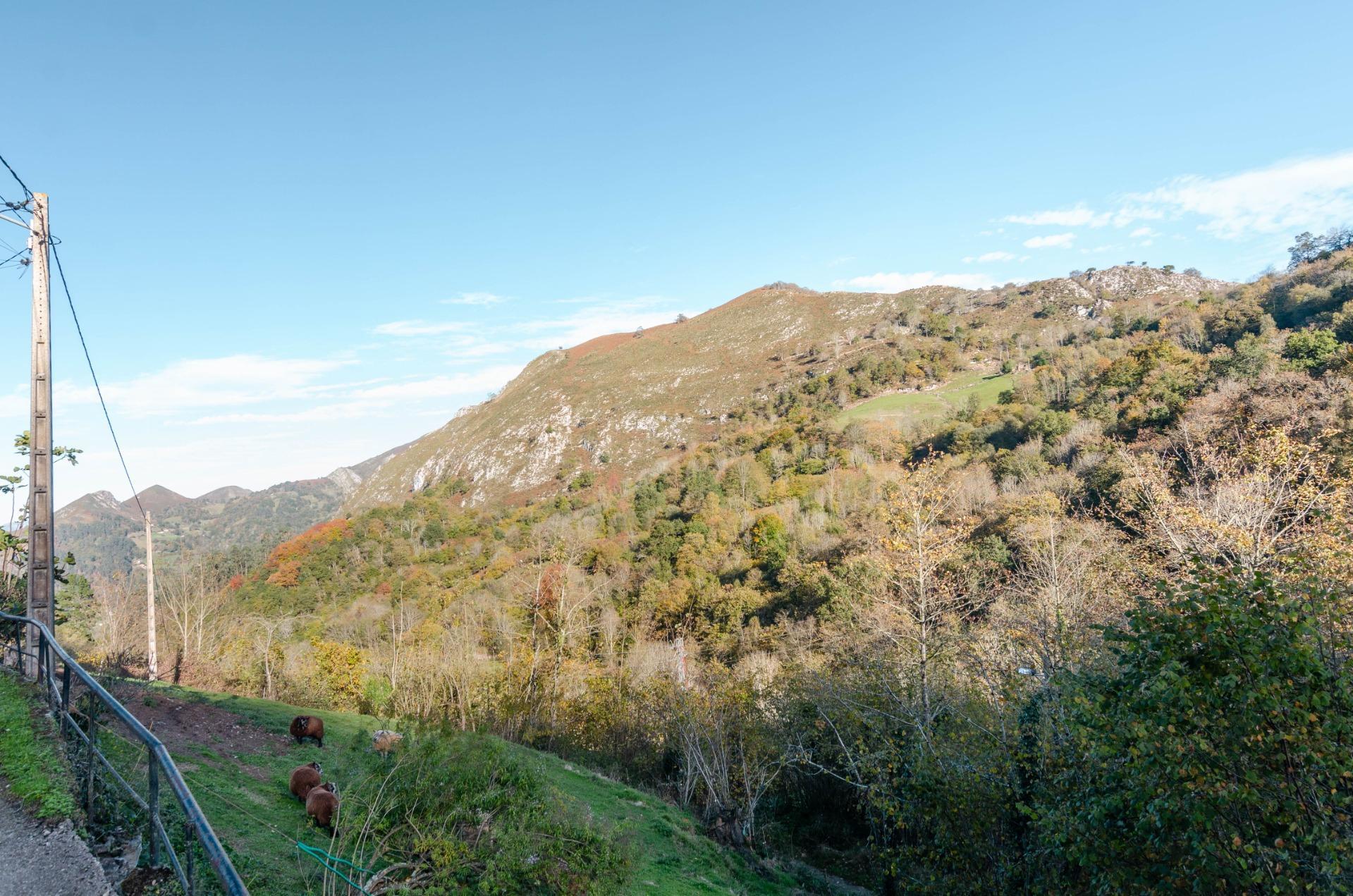 Casas o chalets-Venta-PiloÃ±a-1978447-Foto-27