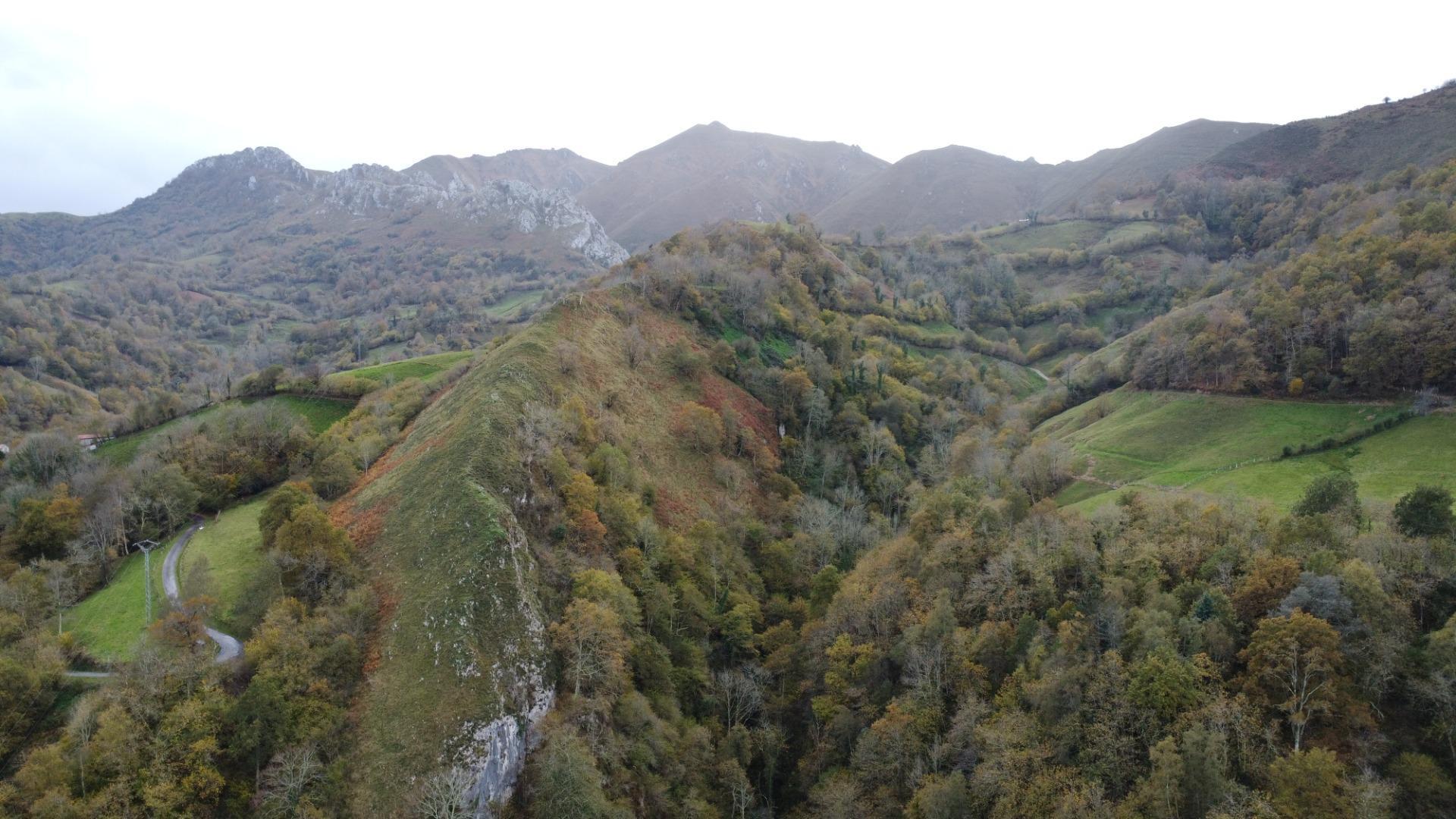 Casas o chalets-Venta-PiloÃ±a-1978447-Foto-25