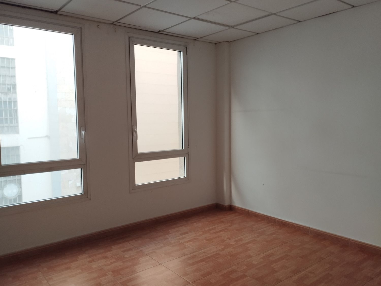 Oficinas-Alquiler-Las Palmas de Gran Canaria-1978475-Foto-5