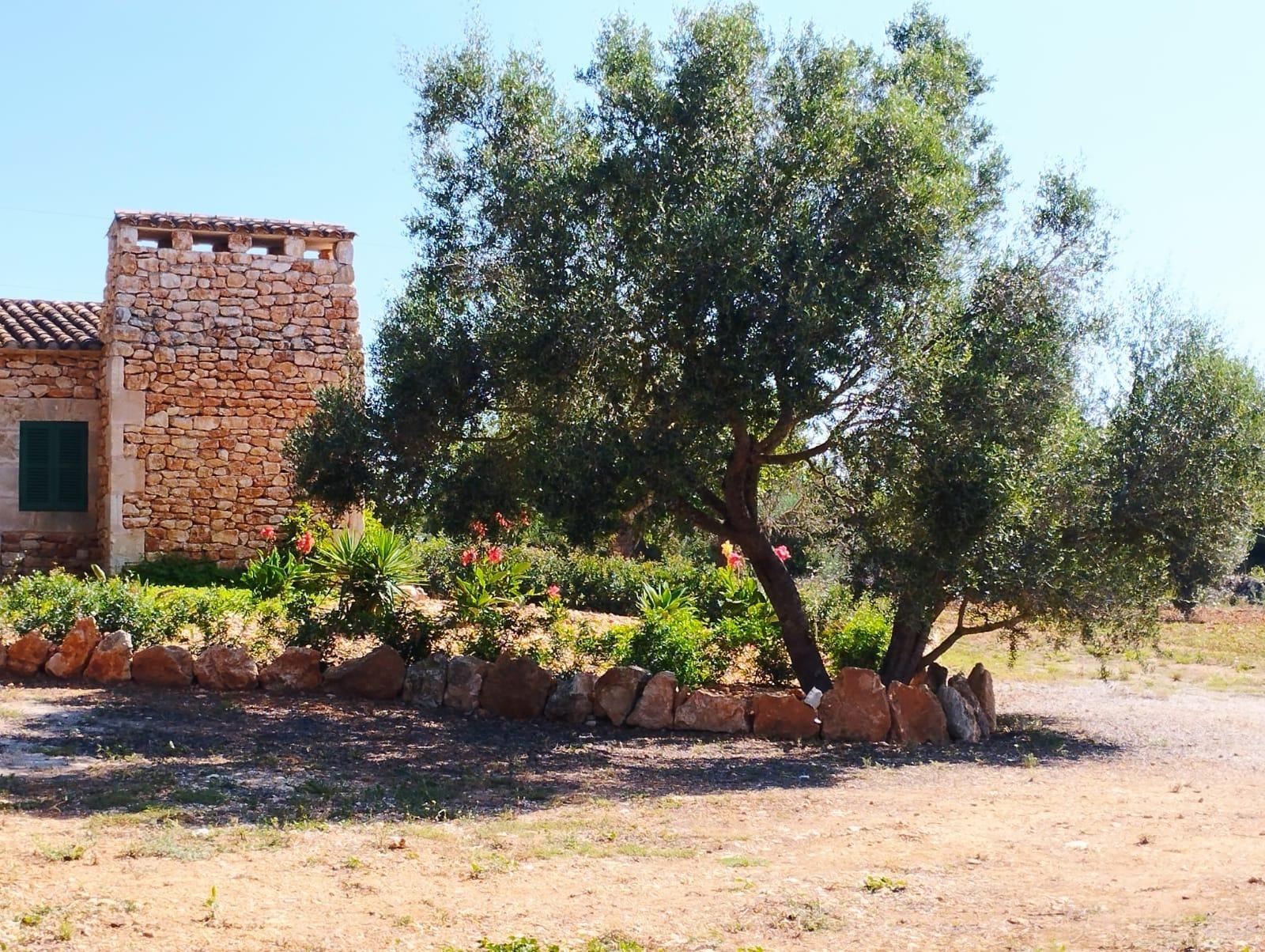 Pisos-Venta-Campos-811542-Foto-3