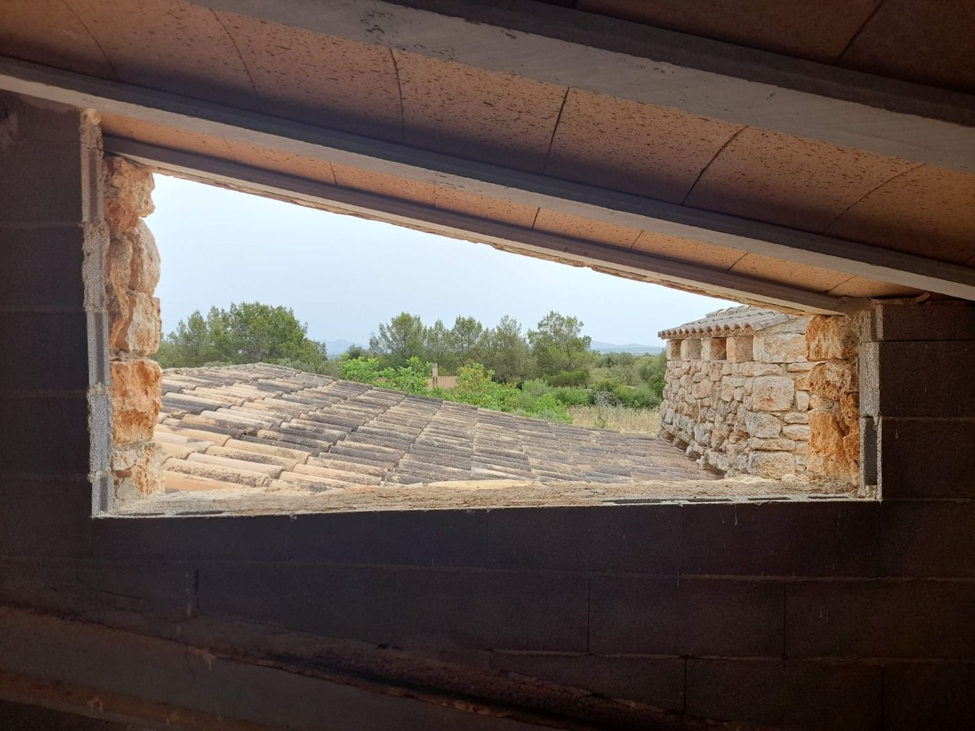 Pisos-Venta-Campos-811542-Foto-20