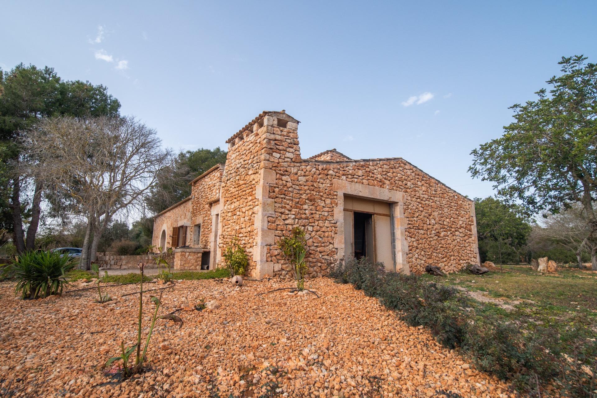 Pisos-Venta-Campos-811542-Foto-23