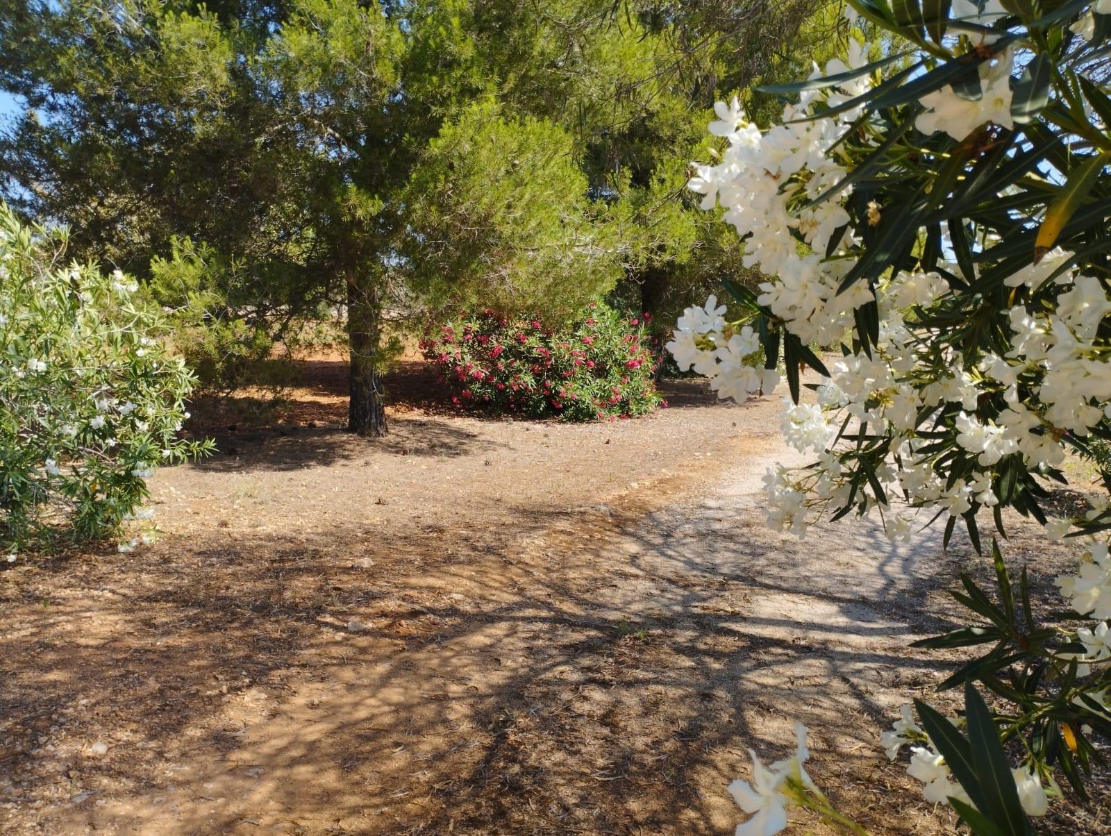 Pisos-Venta-Campos-811542-Foto-27