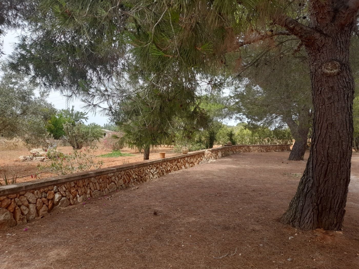 Pisos-Venta-Campos-811542-Foto-30