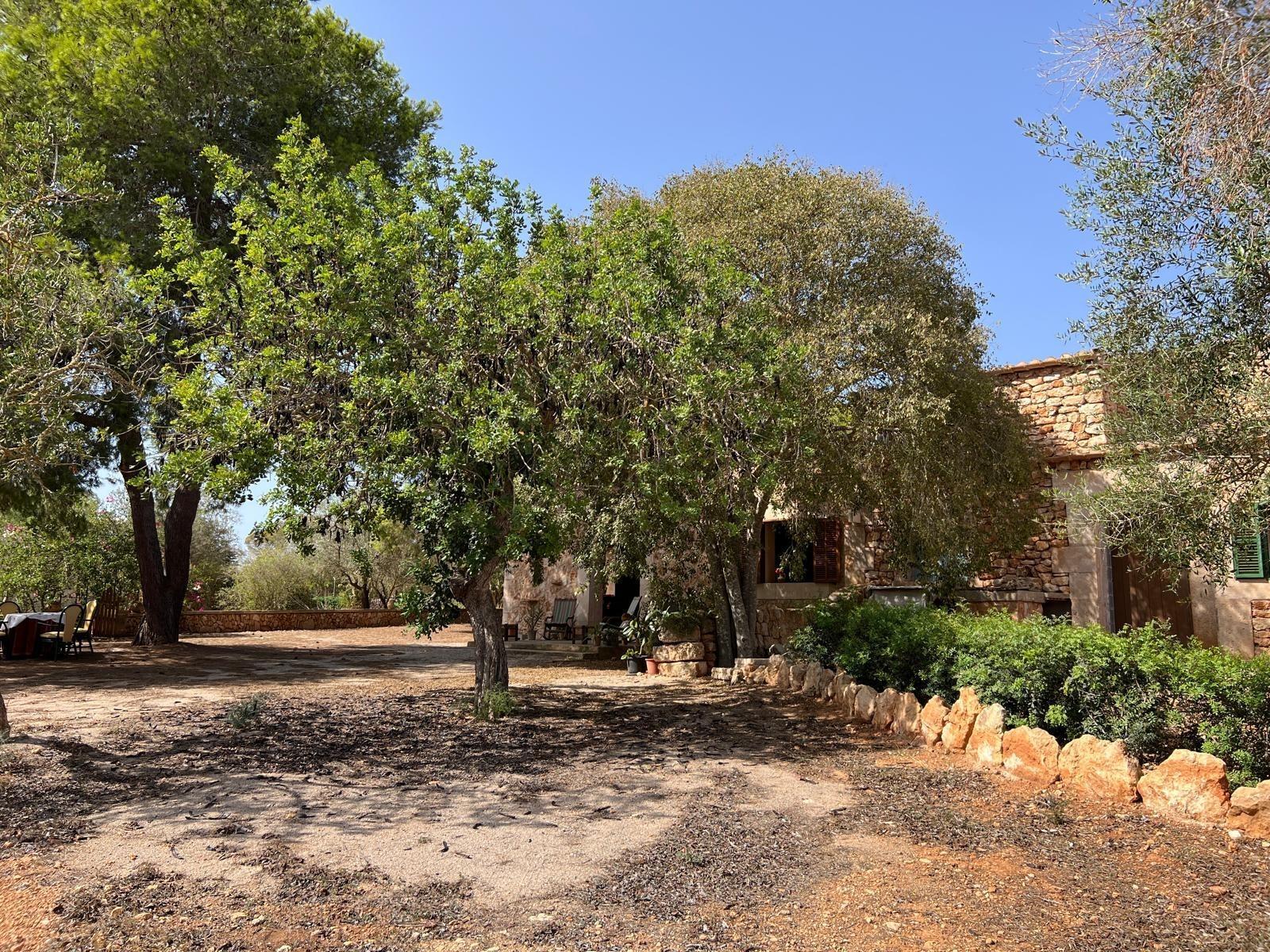 Pisos-Venta-Campos-811542-Foto-28