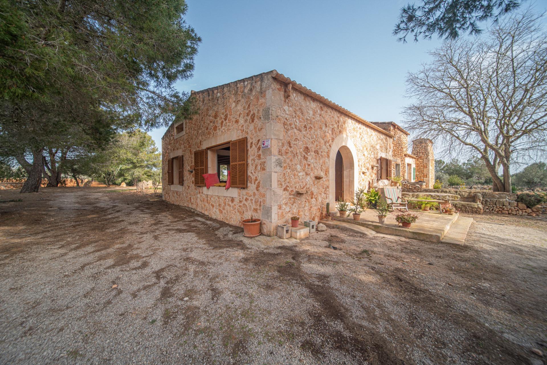 Pisos-Venta-Campos-811542-Foto-26