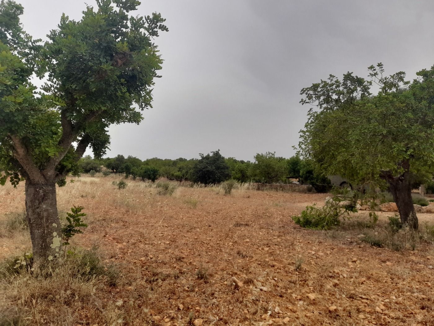 Pisos-Venta-Campos-811542-Foto-32