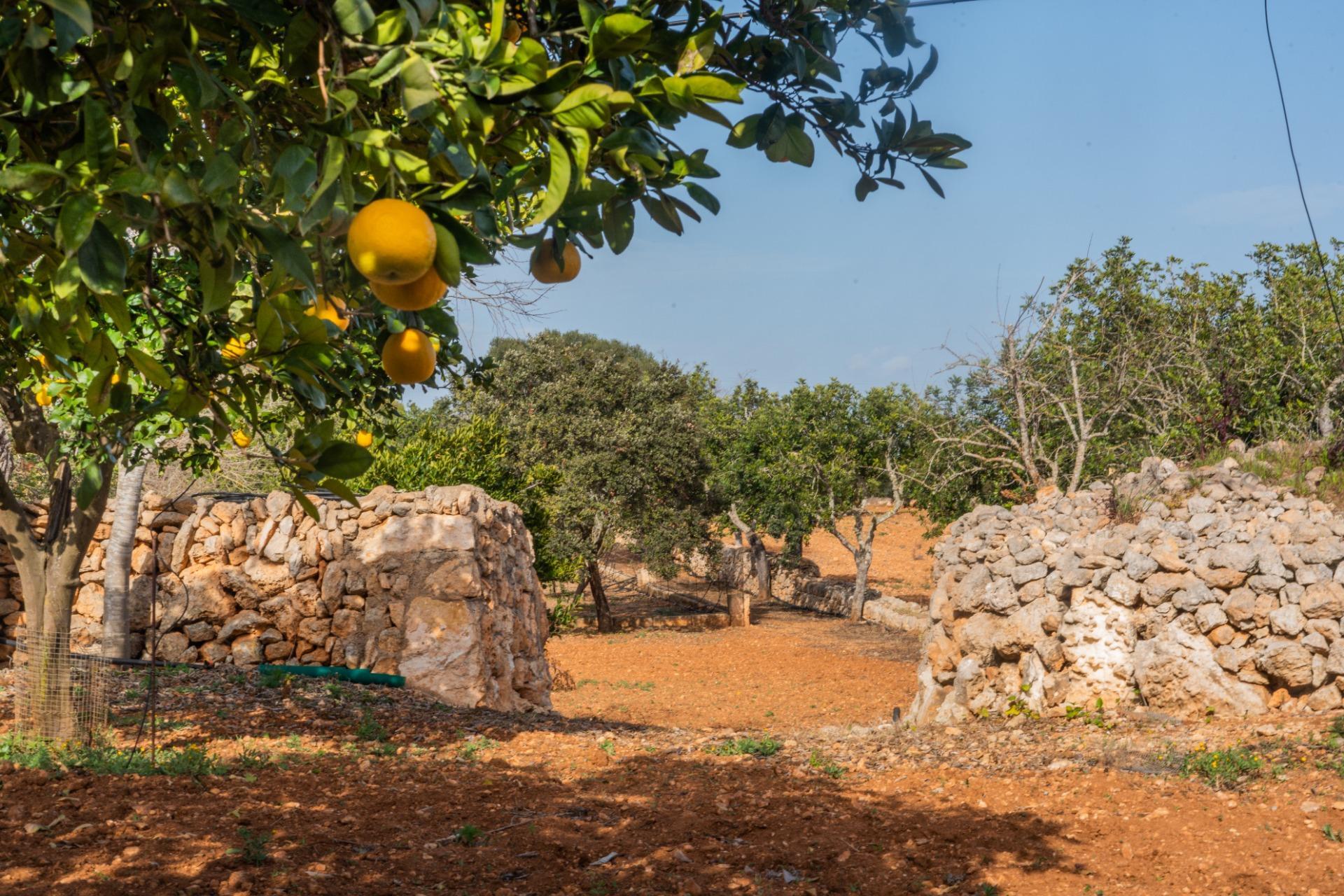 Pisos-Venta-Campos-811542-Foto-34