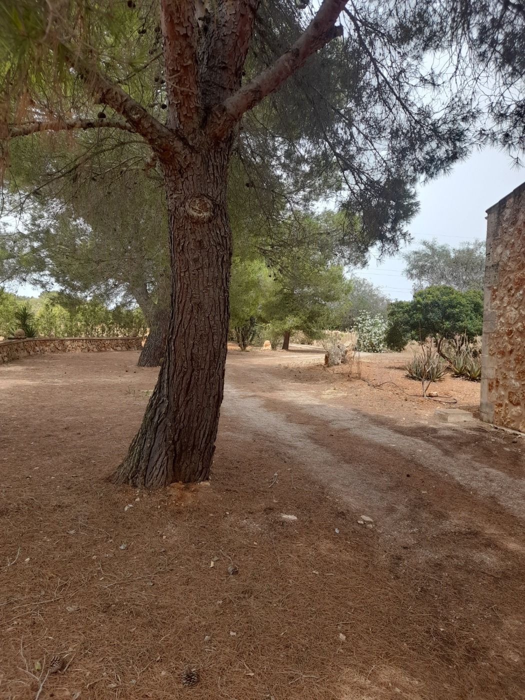 Pisos-Venta-Campos-811542-Foto-33