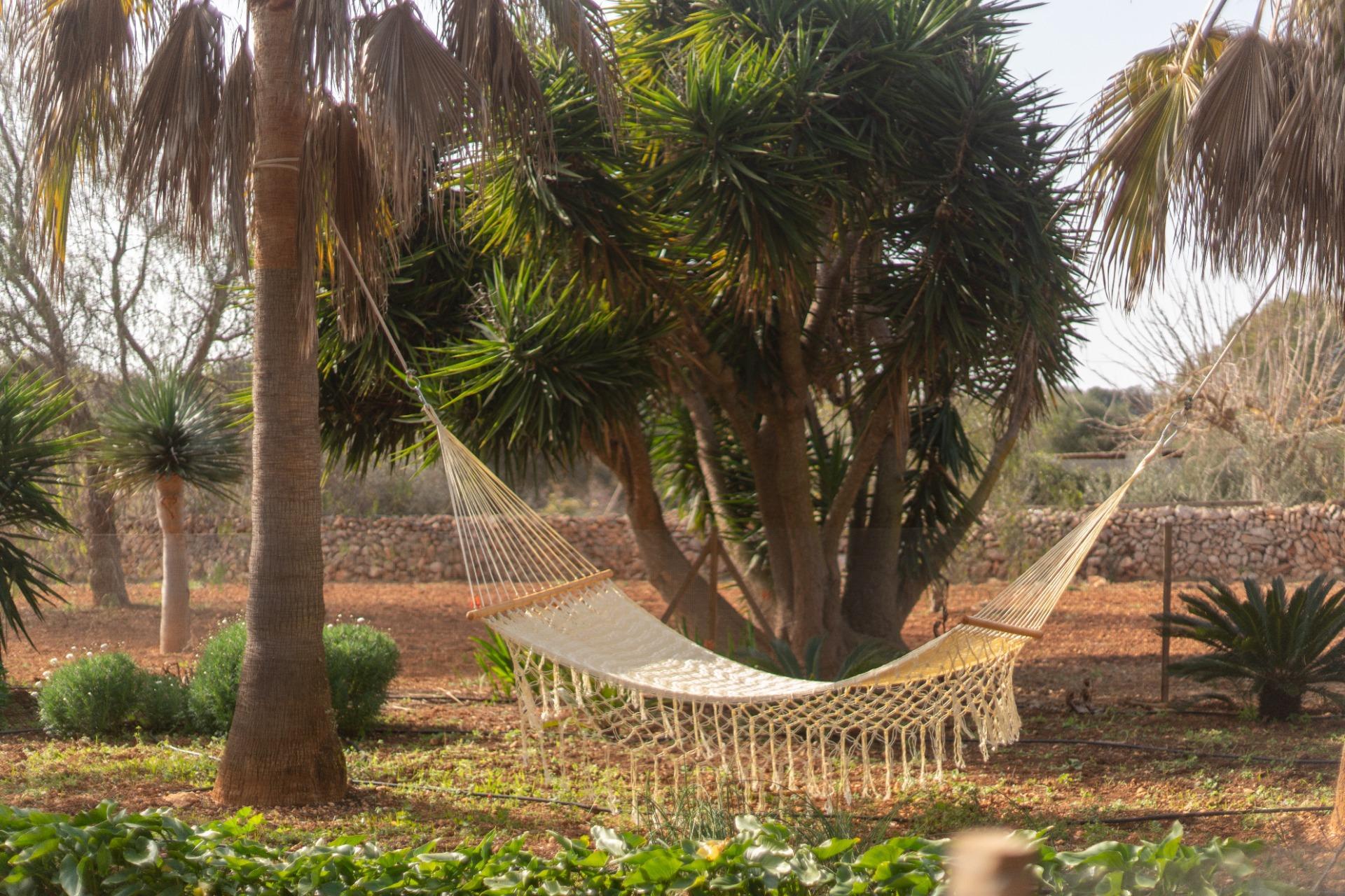 Pisos-Venta-Campos-811542-Foto-31