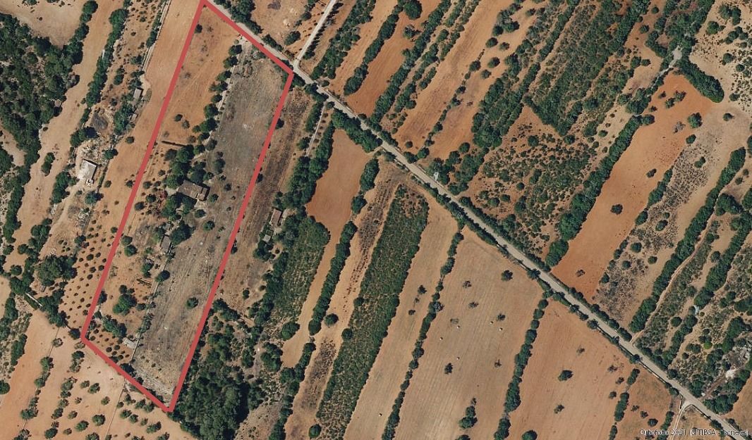 Pisos-Venta-Campos-811542-Foto-40