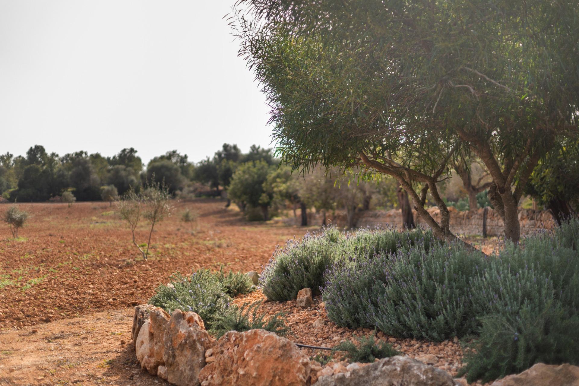 Pisos-Venta-Campos-811542-Foto-37