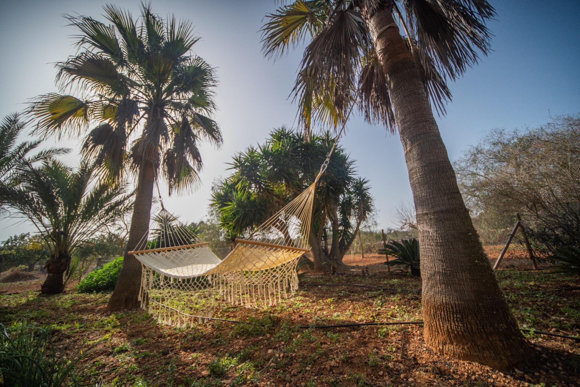 Pisos-Venta-Campos-811542-Foto-39