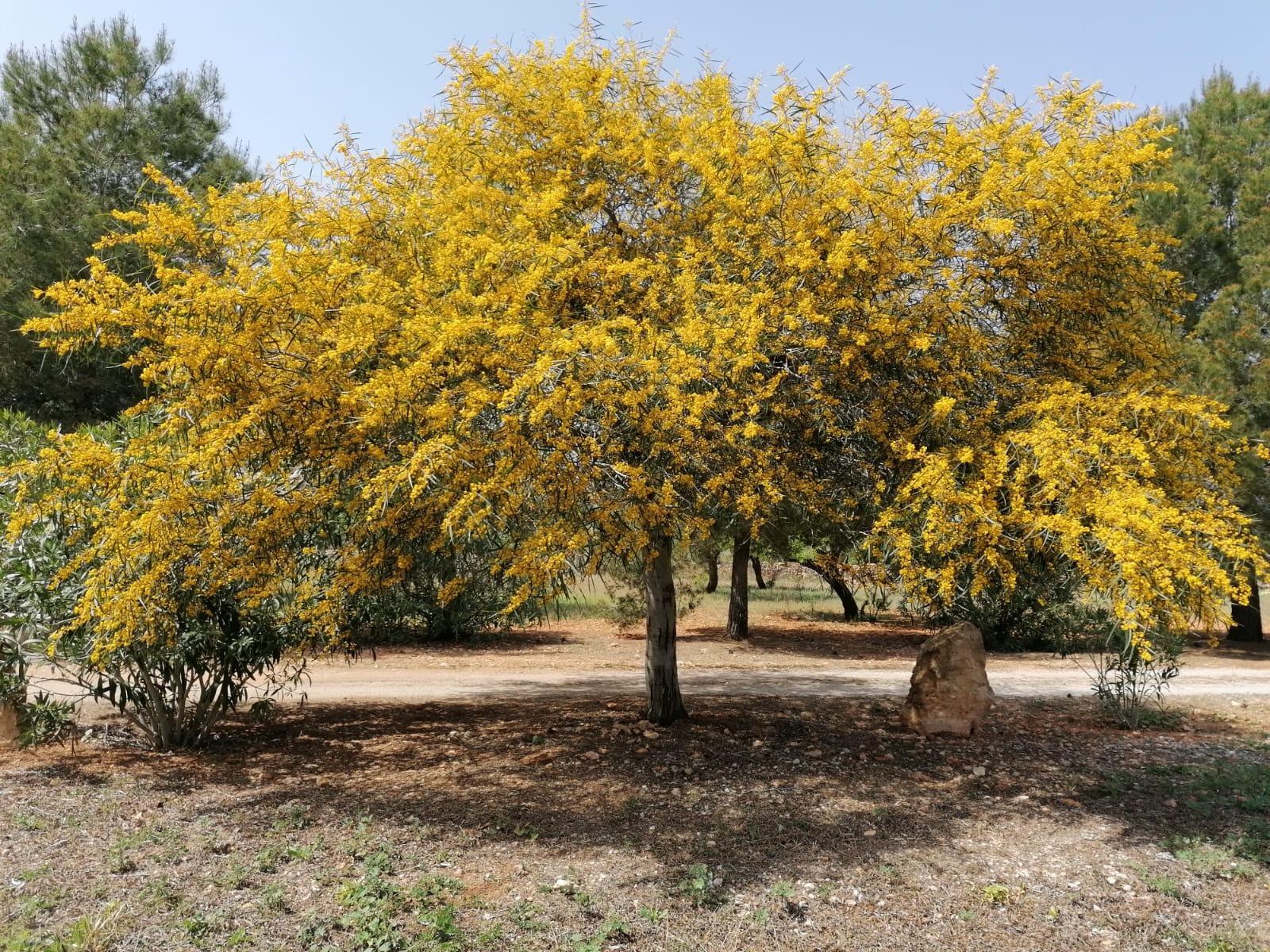 Pisos-Venta-Campos-811542-Foto-43