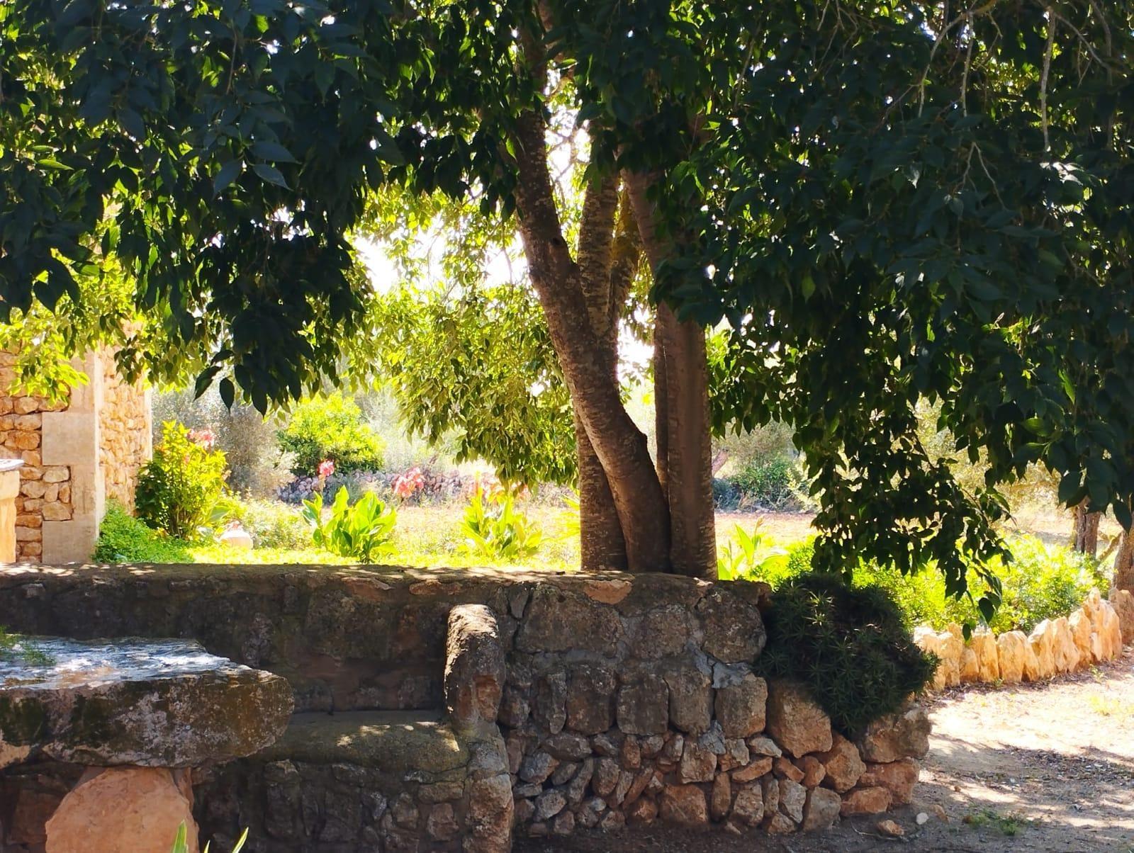 Pisos-Venta-Campos-811542-Foto-42