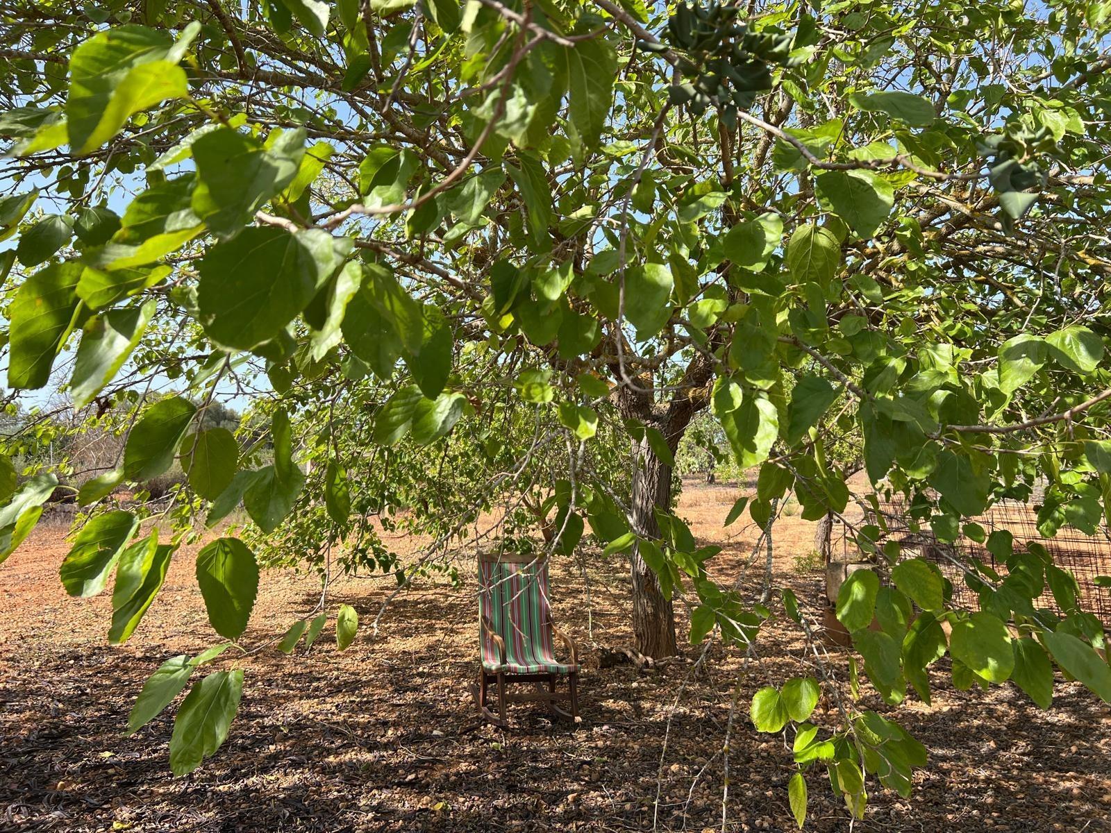 Pisos-Venta-Campos-811542-Foto-46