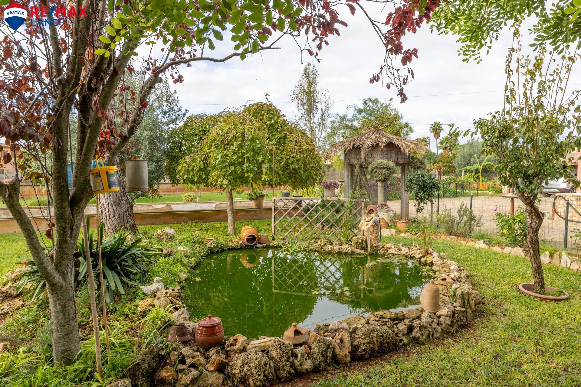 Casas o chalets-Venta-Santa MarÃ­a del CamÃ­-1978840-Foto-2