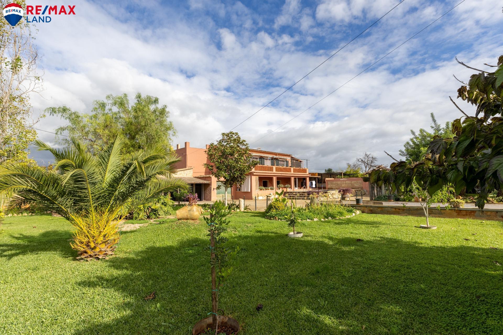 Casas o chalets-Venta-Santa MarÃ­a del CamÃ­-1978840-Foto-21