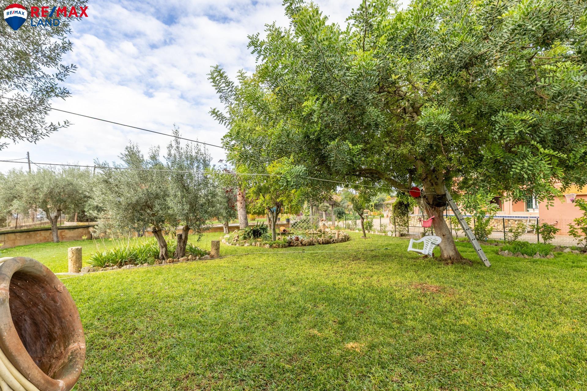 Casas o chalets-Venta-Santa MarÃ­a del CamÃ­-1978840-Foto-22