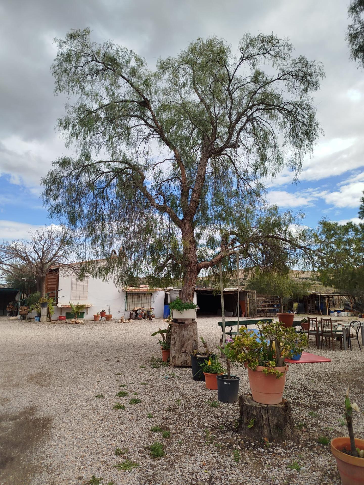 Casa Rústica con piscina en Cañada Hermosa