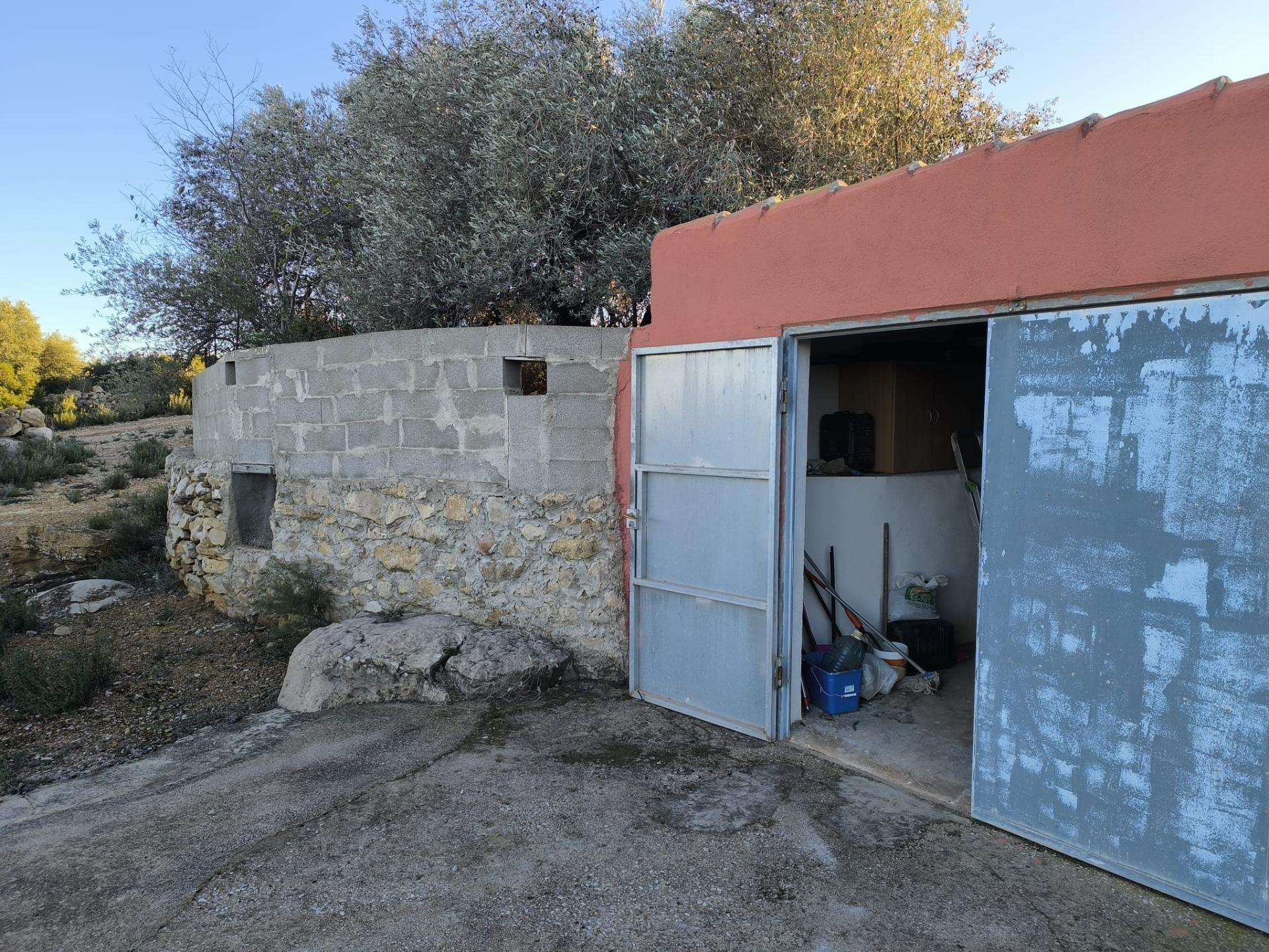 Finca Rústica en Mas de Borrás (Vilanova de Alcolea)