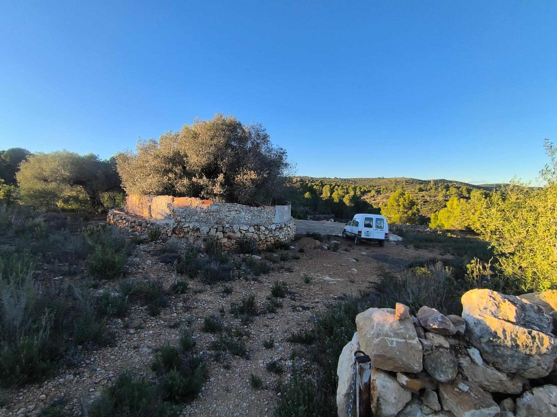 Finca Rústica en Mas de Borrás (Vilanova de Alcolea)