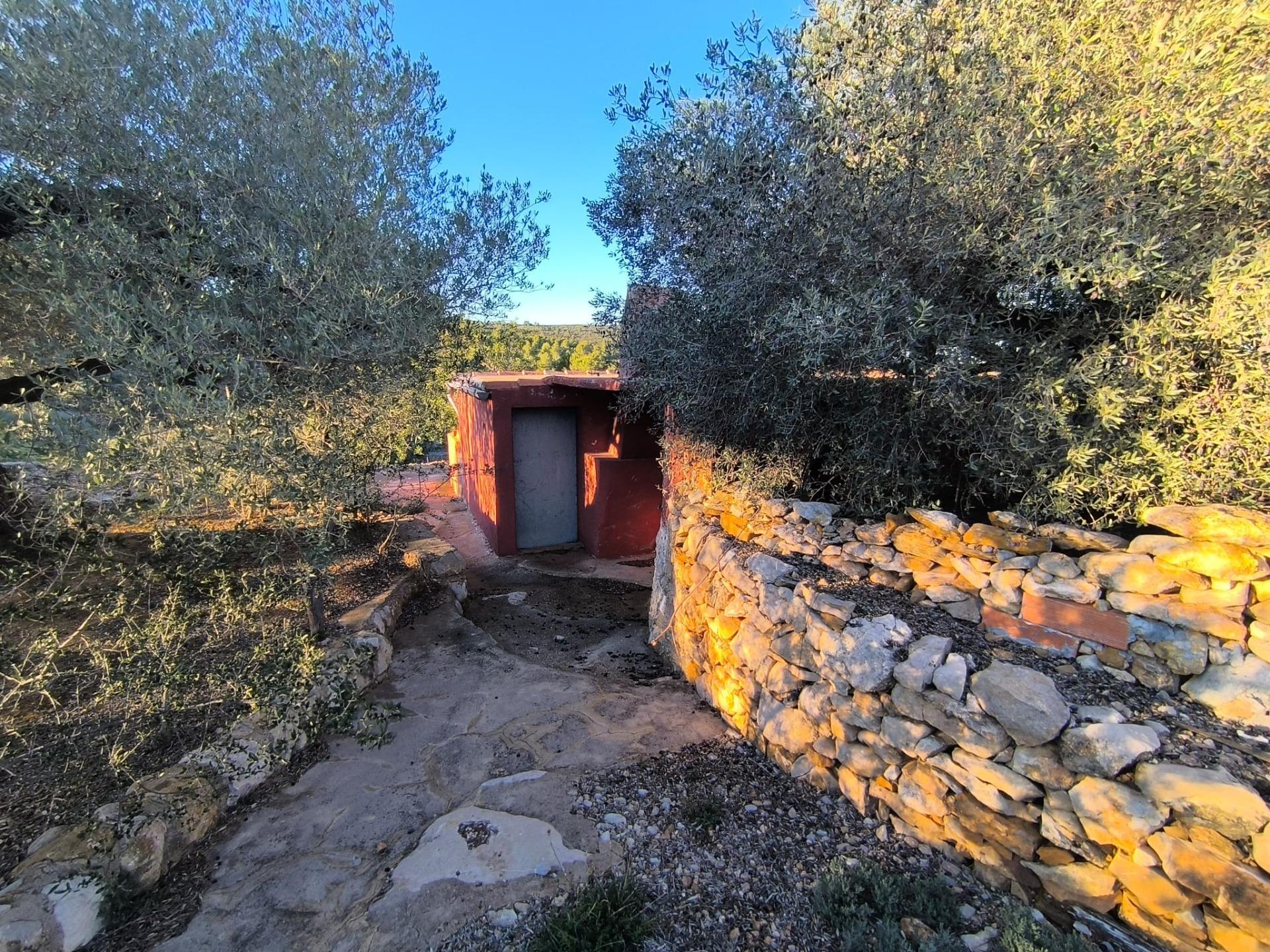 Finca Rústica en Mas de Borrás (Vilanova de Alcolea)