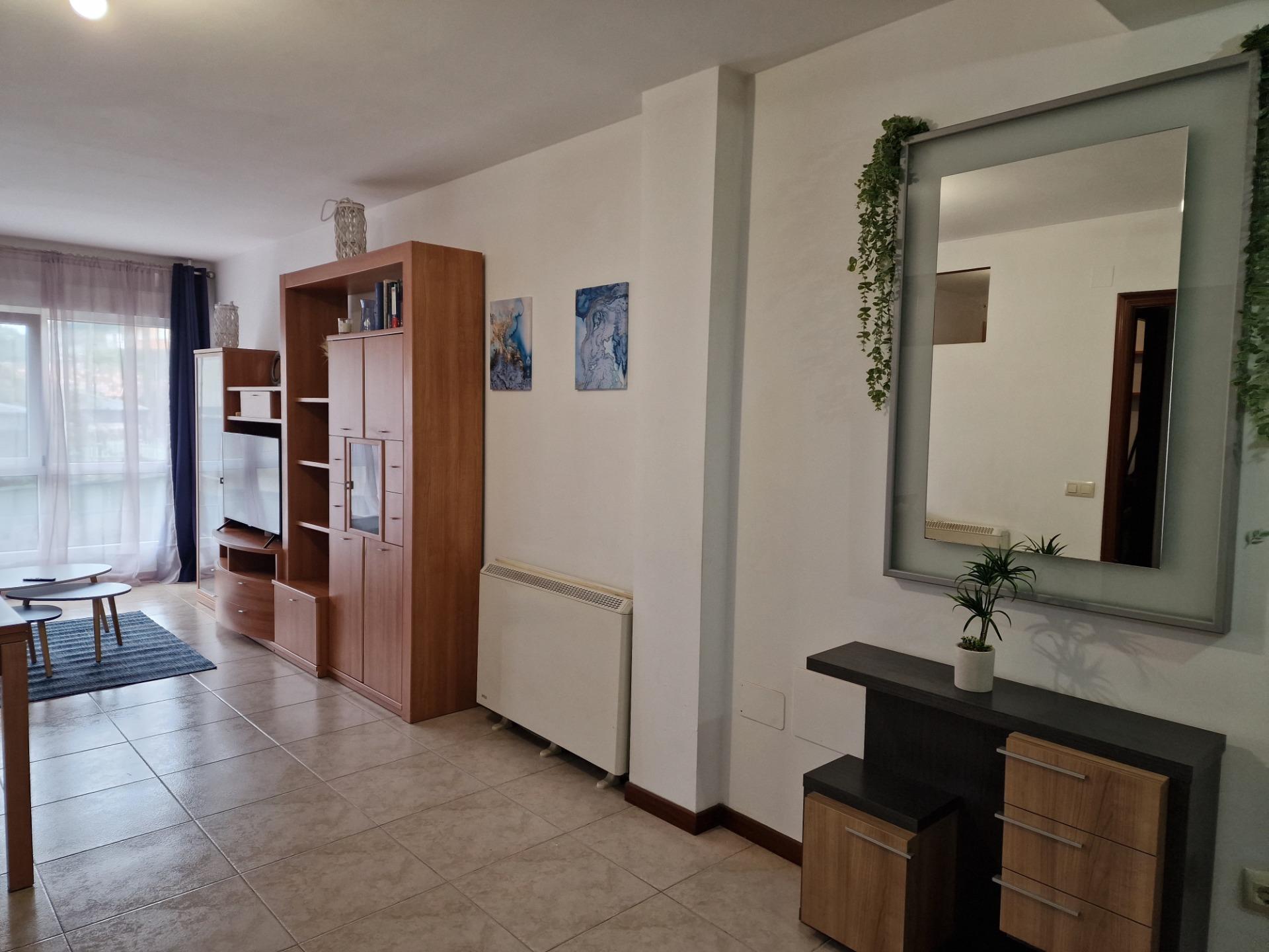 Pisos-Venta-MoaÃ±a-2009494-Foto-4