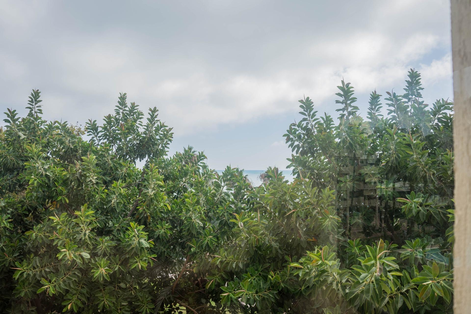 Exclusivo piso en venta La Carihuela Torremolinos.