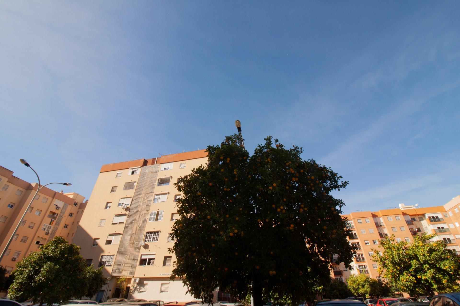 Magnífica vivienda en la Plaza de la Malagueta!!!