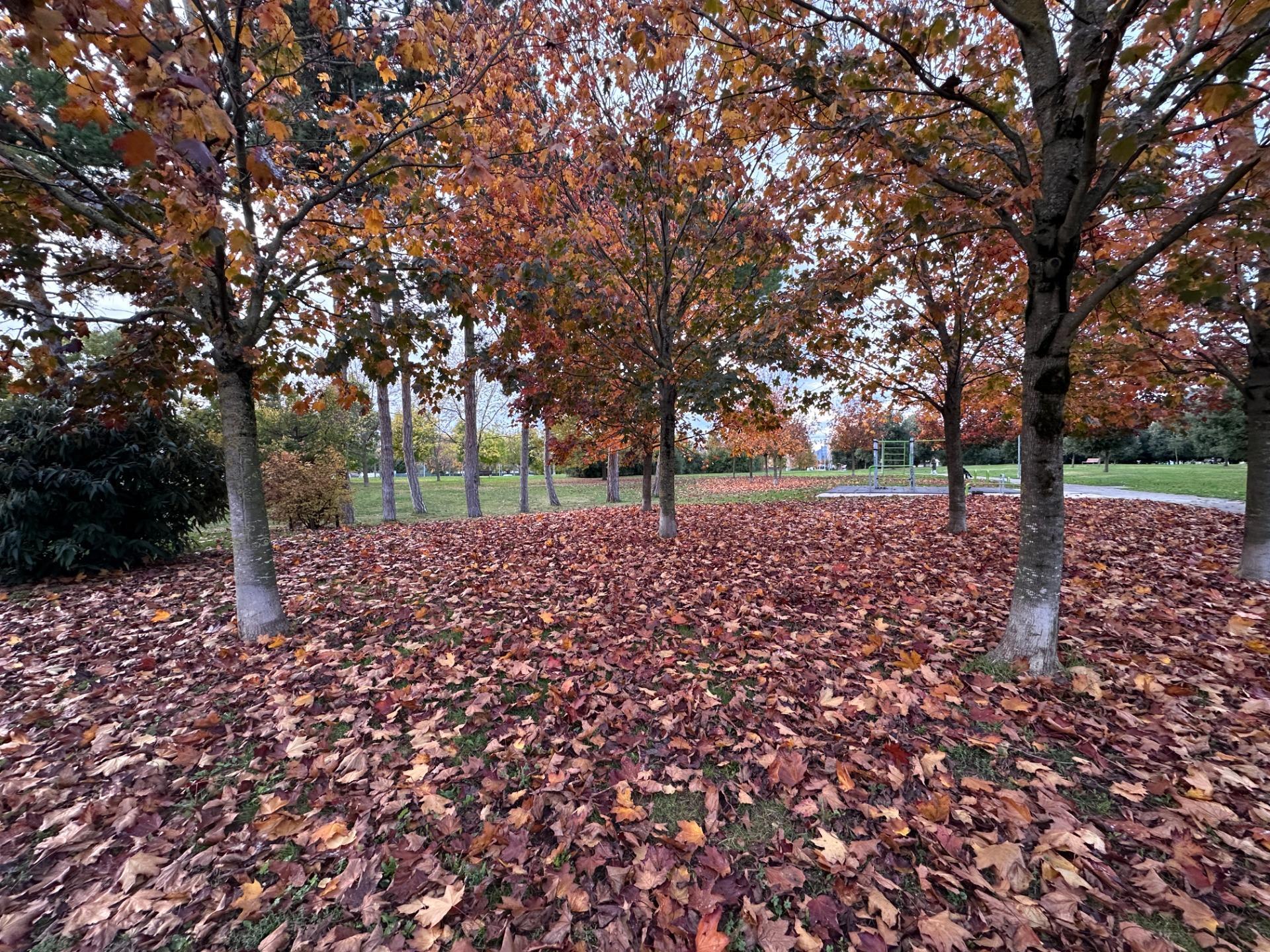 Pisos-Venta-Pamplona-IruÃ±a-1992091-Foto-75