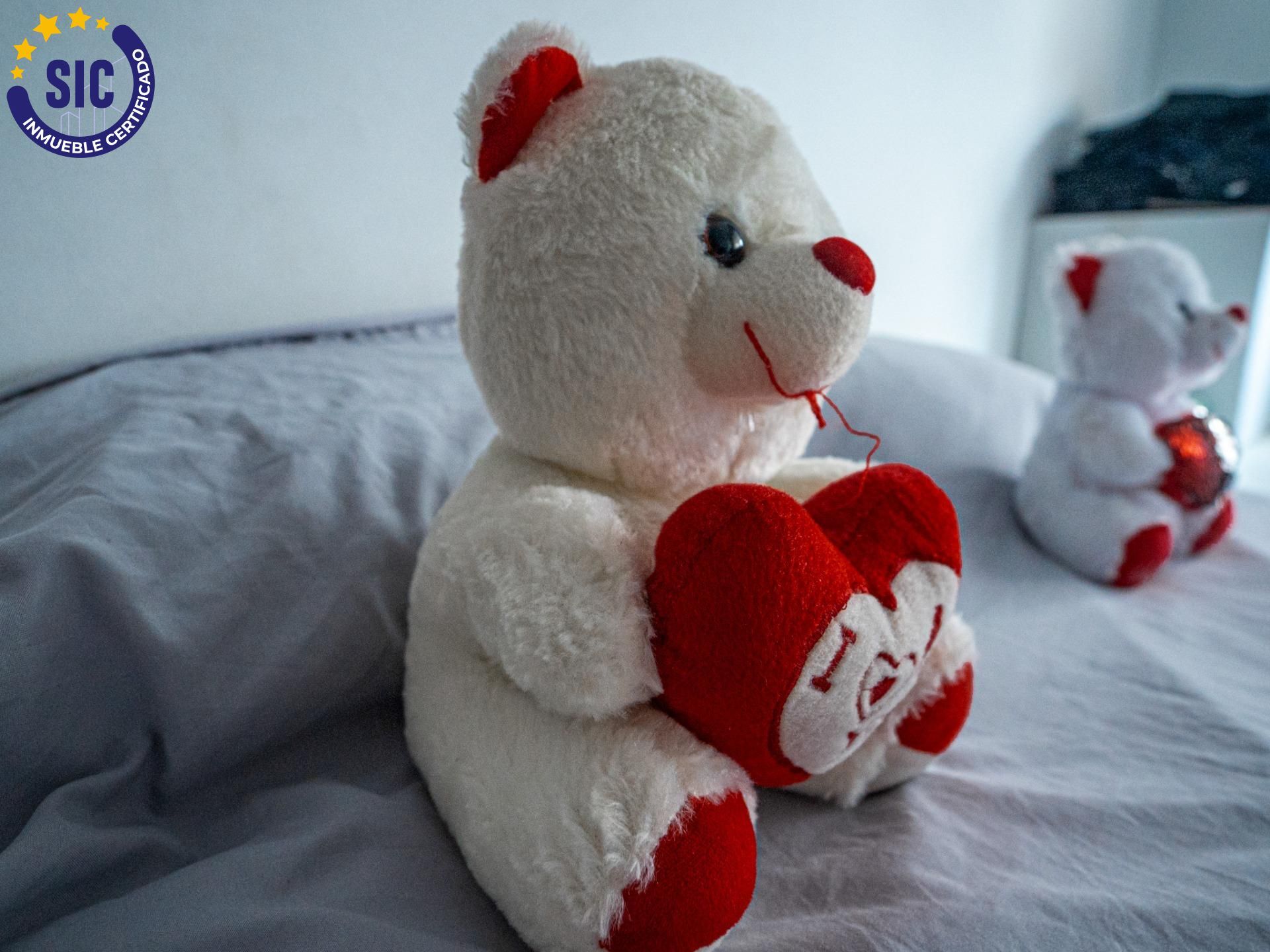 Casas o chalets-Venta-El Olivar-1840950-Foto-17