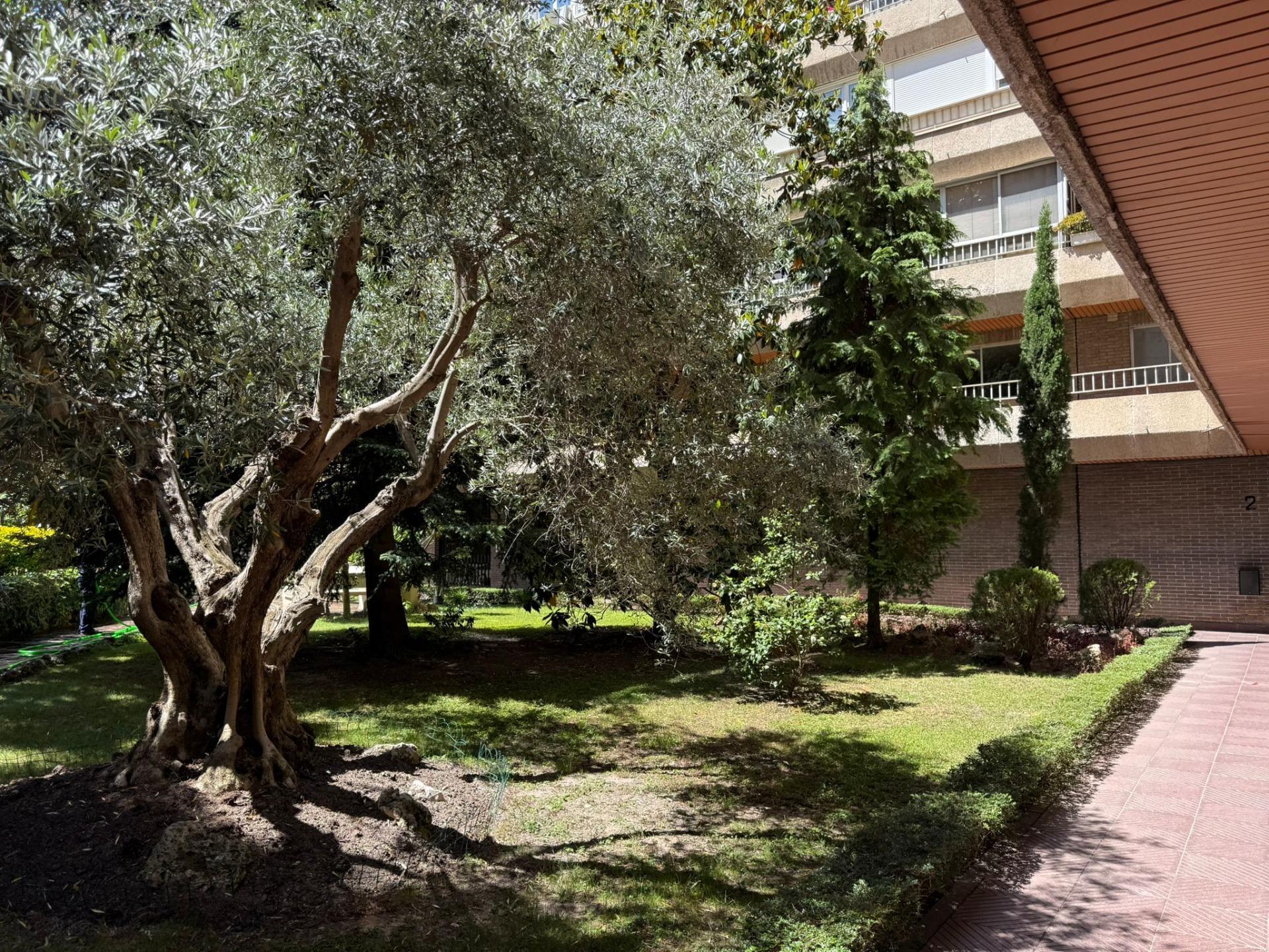 Estupendo piso con 4 dormitorios, 3 baños, terraza, garaje y trastero cerca de la calle Arturo Soria