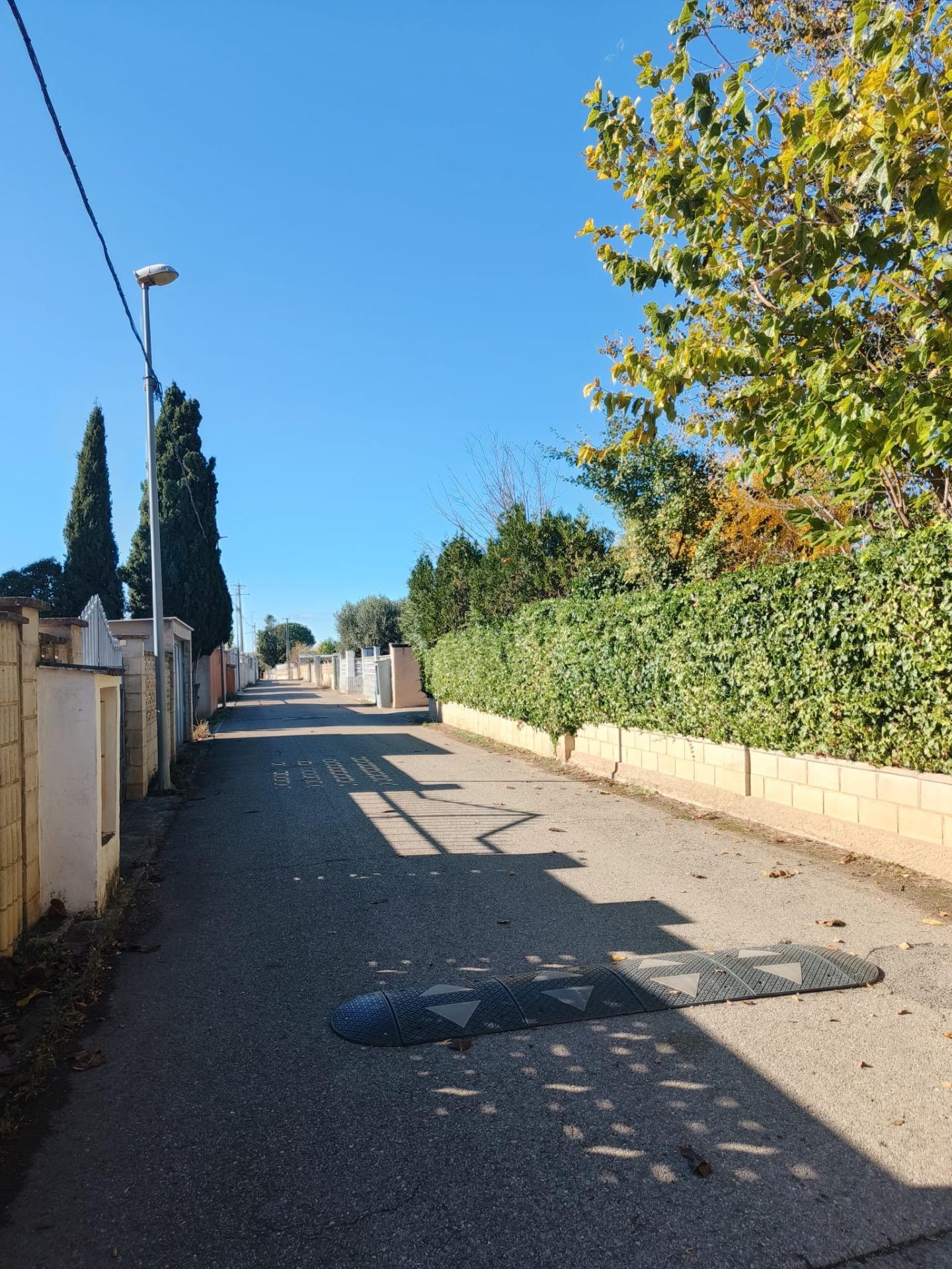 Un hogar que respira libertad y calma