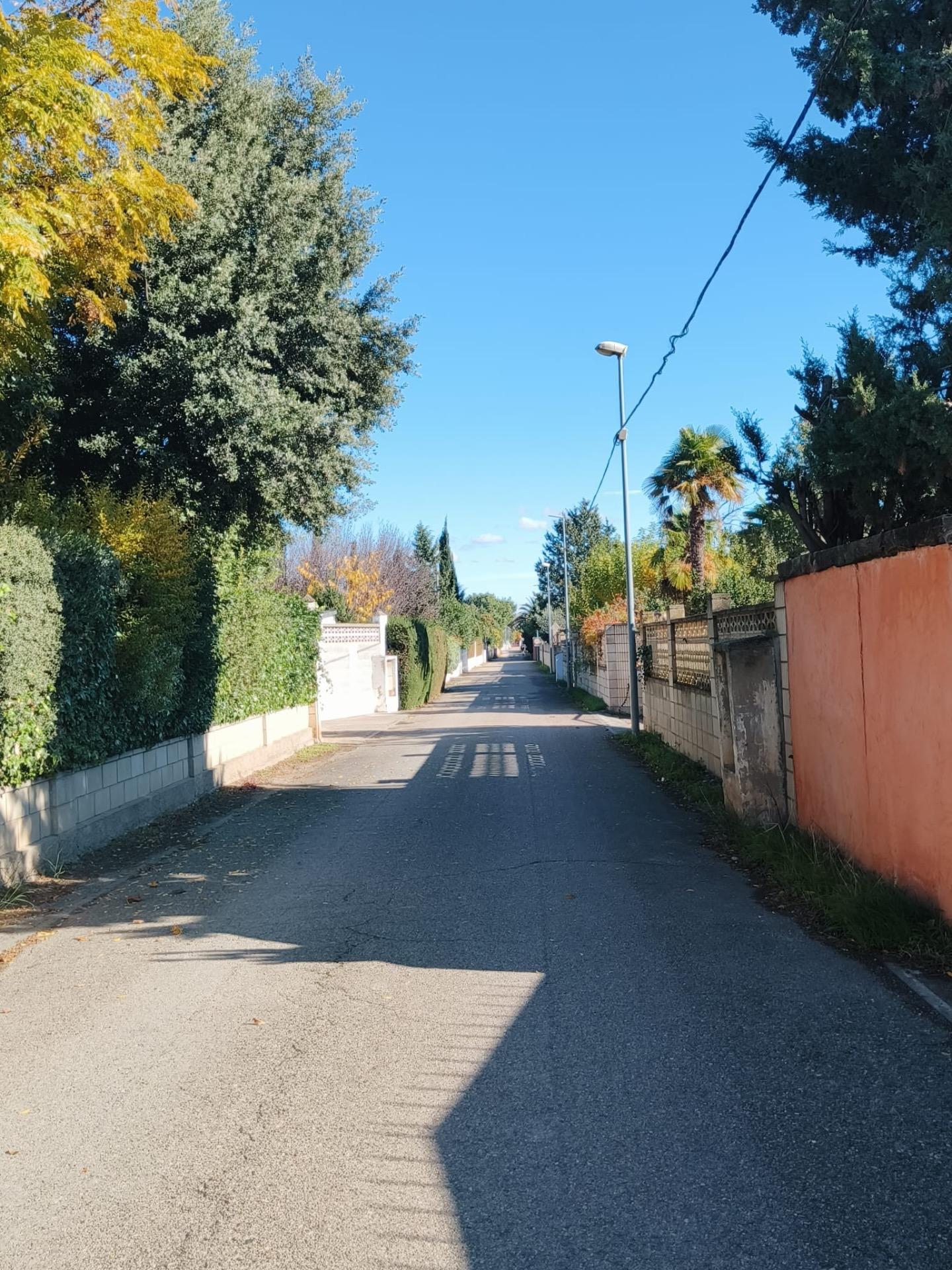Un hogar que respira libertad y calma