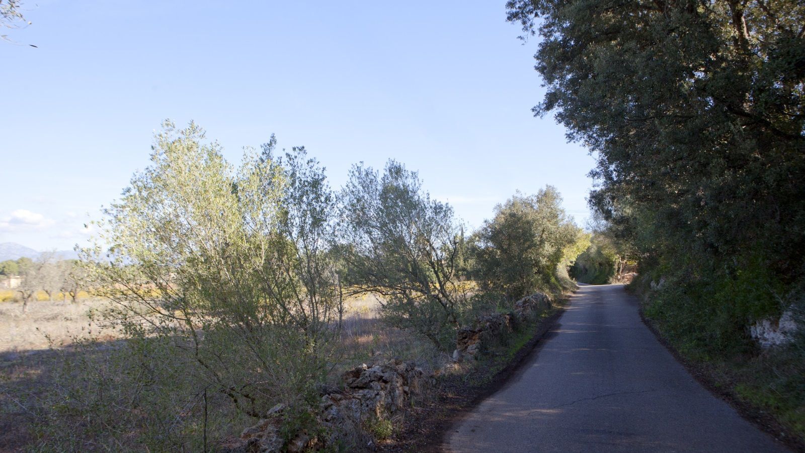 Terreno en Sencelles de 28.000 m2 con licencia de obra y vistas a la Tramuntana