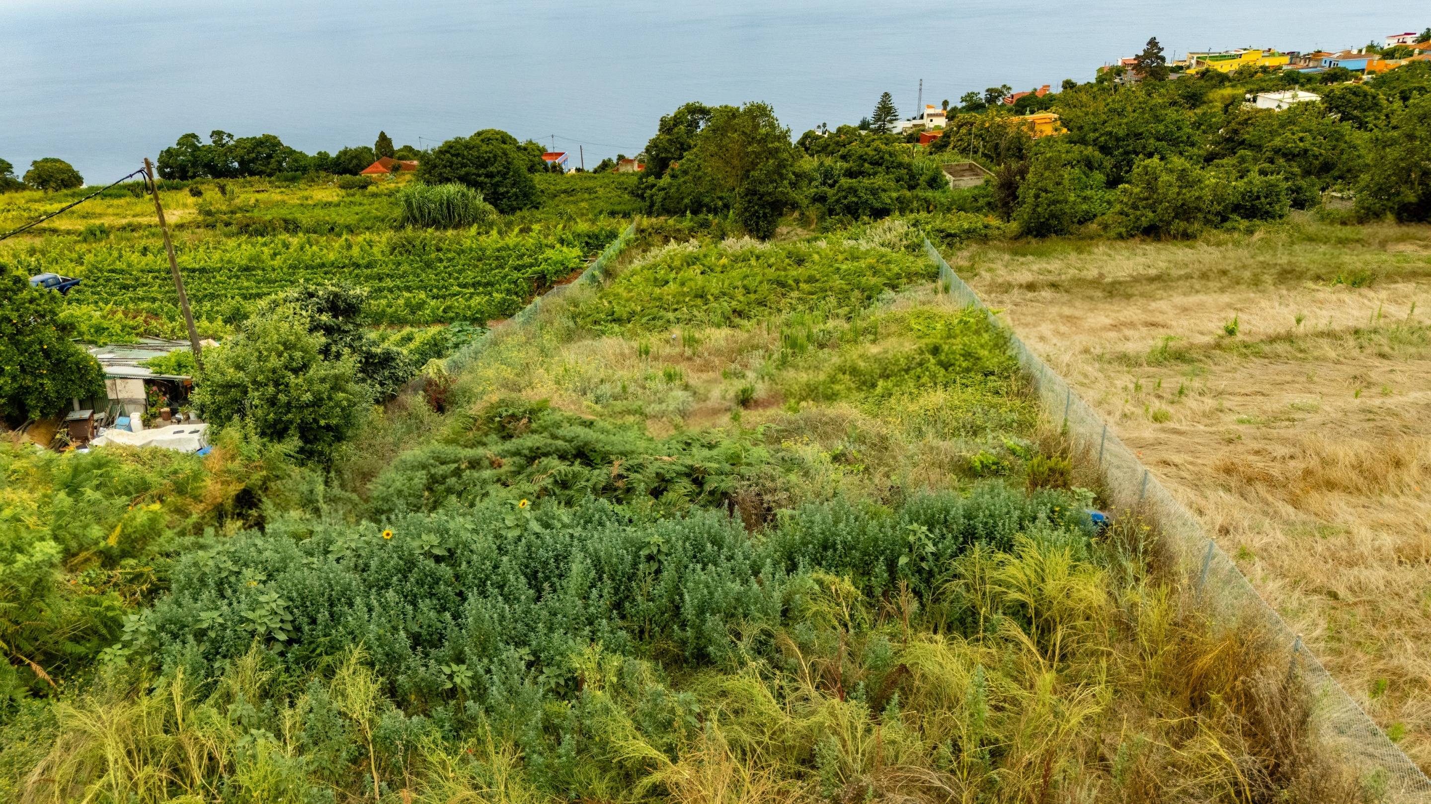 VENTA DE TERRENO URBANO Y RÚSTICO EN RAVELO EL SAUZAL