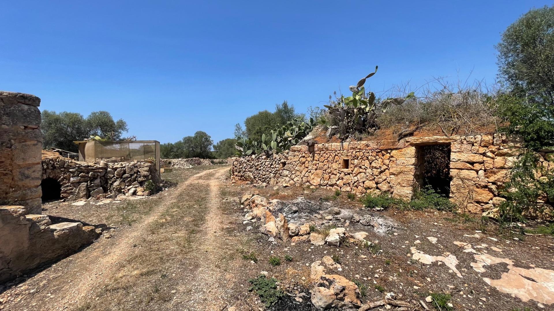 FINCA RUSTICA EN CALA PI