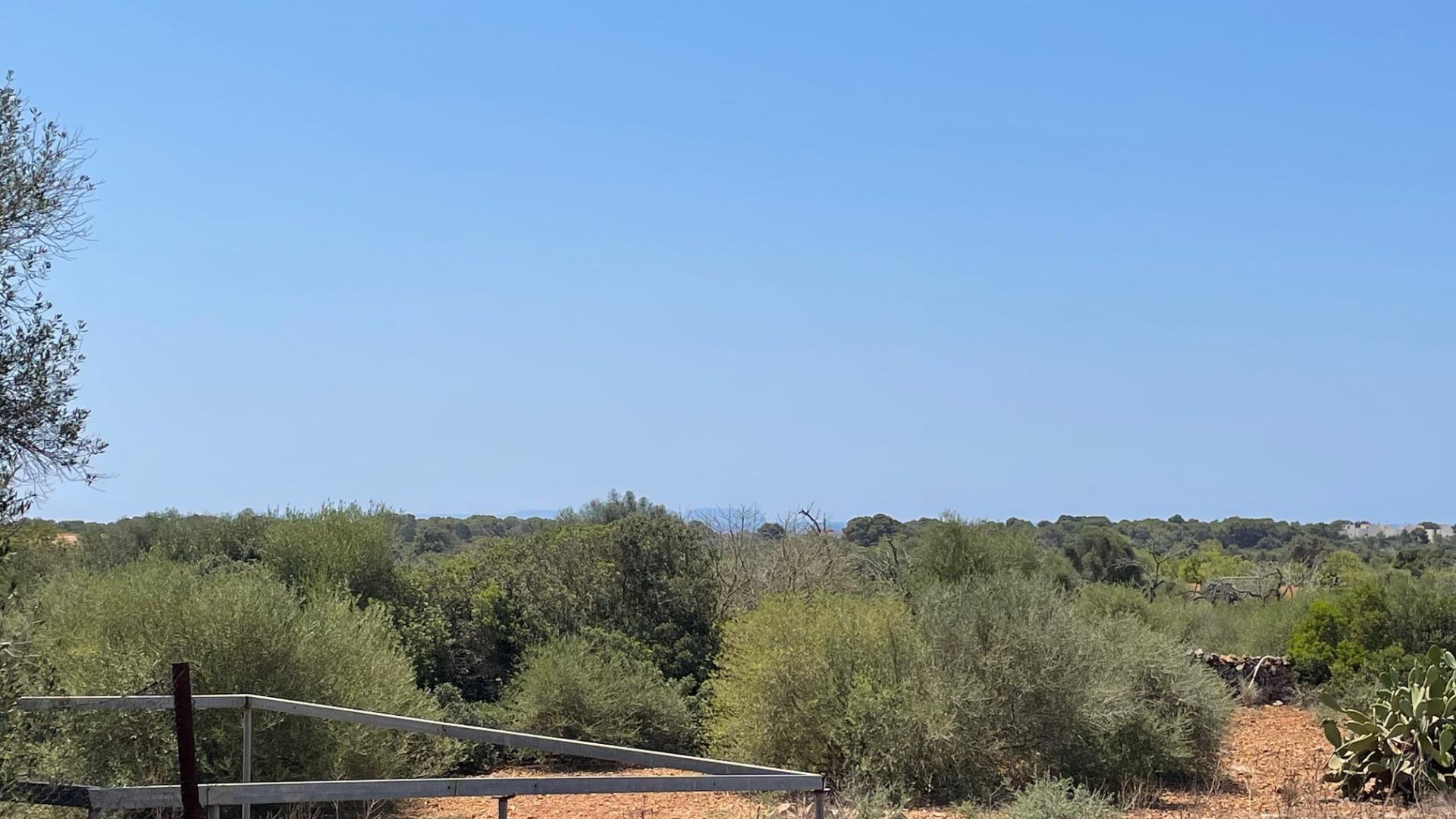 FINCA RUSTICA EN CALA PI