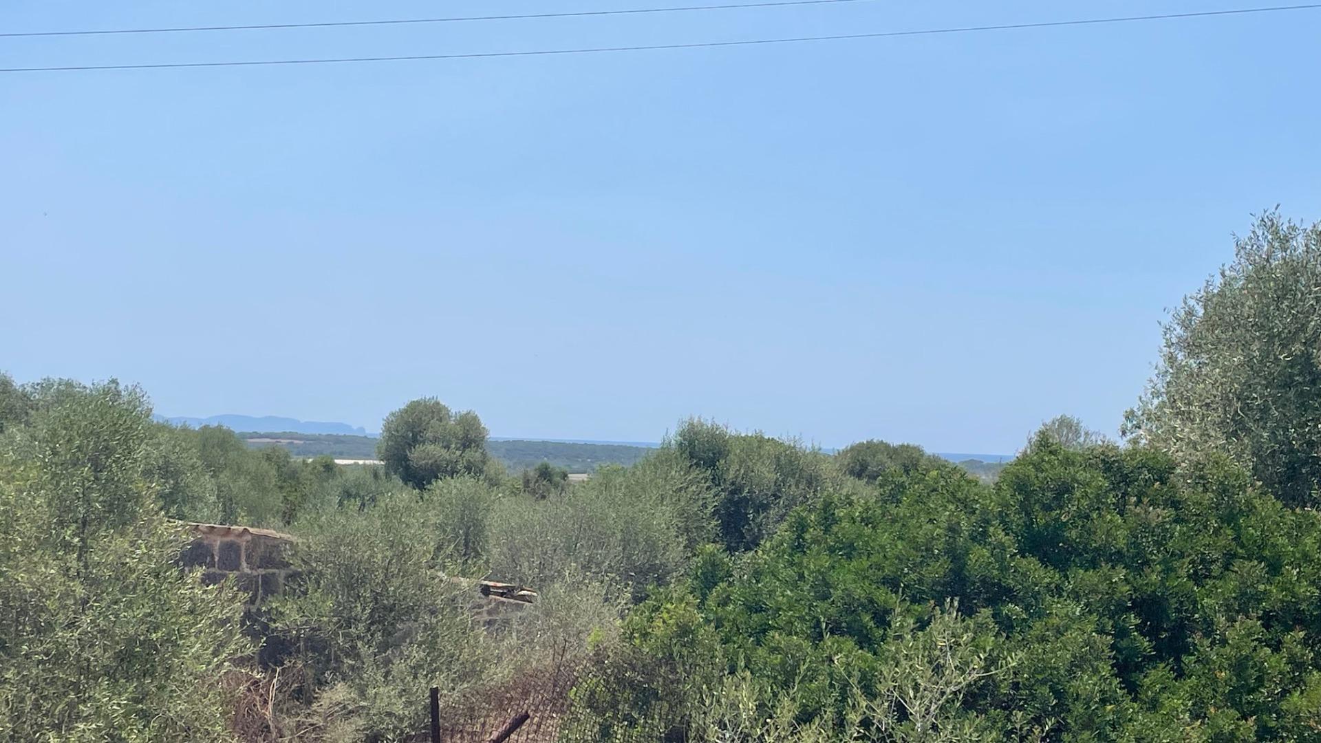 FINCA RUSTICA EN CALA PI