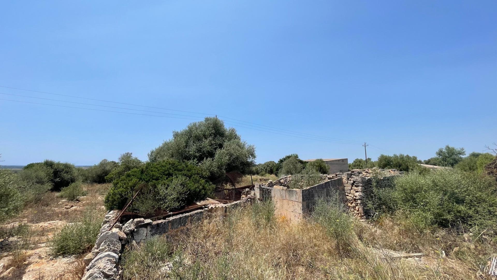 FINCA RUSTICA EN CALA PI