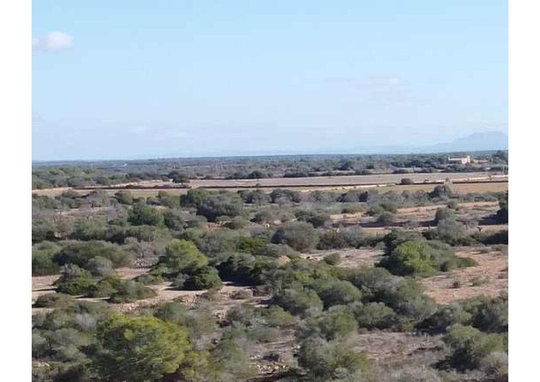 FINCA RUSTICA EN CALA PI