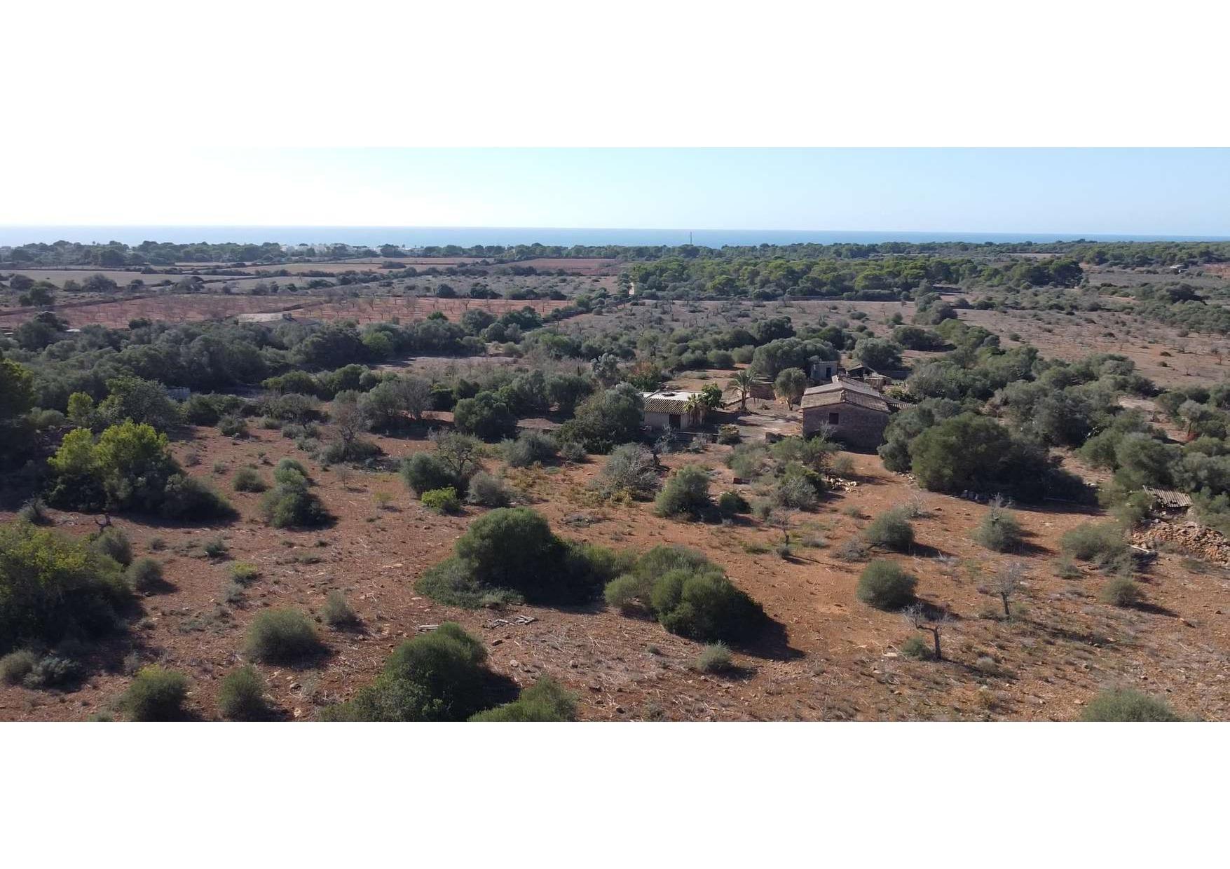 FINCA RUSTICA EN CALA PI