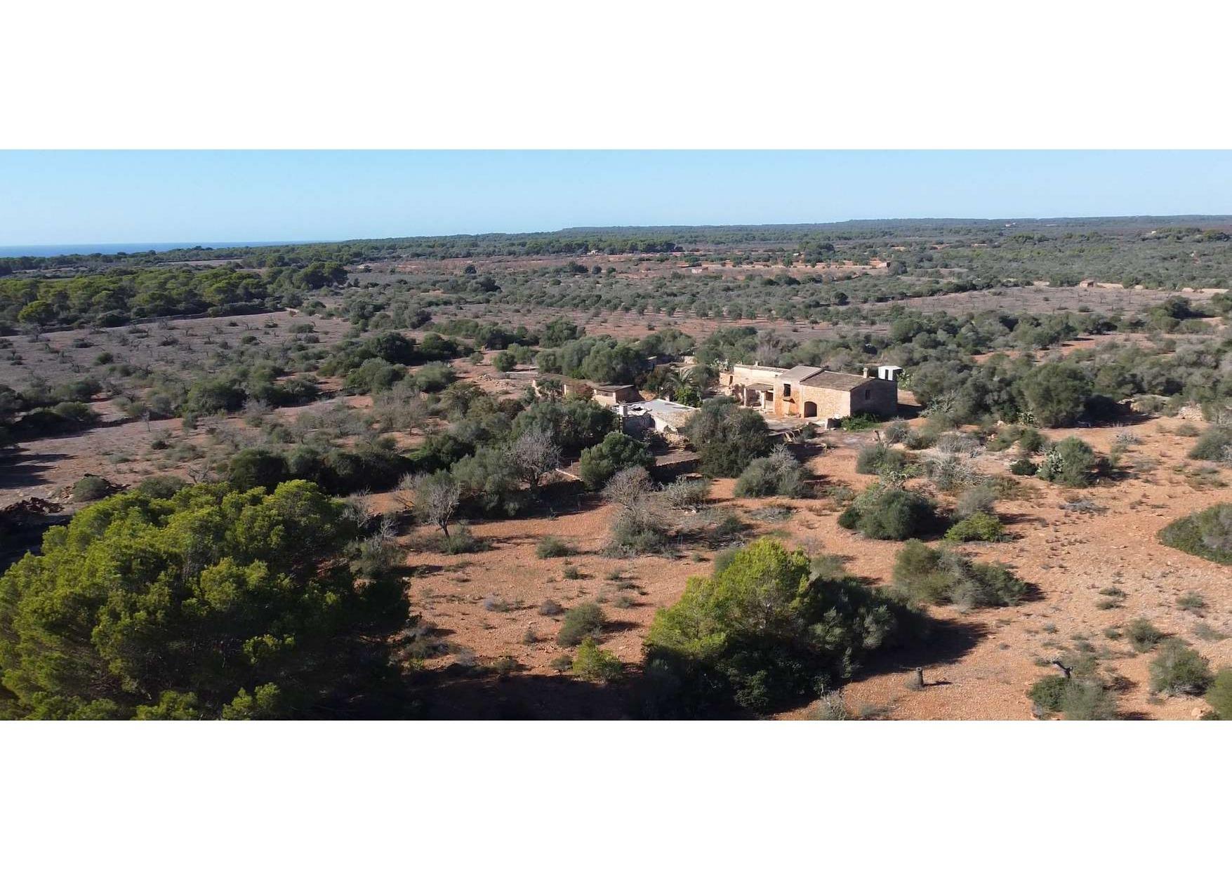 FINCA RUSTICA EN CALA PI