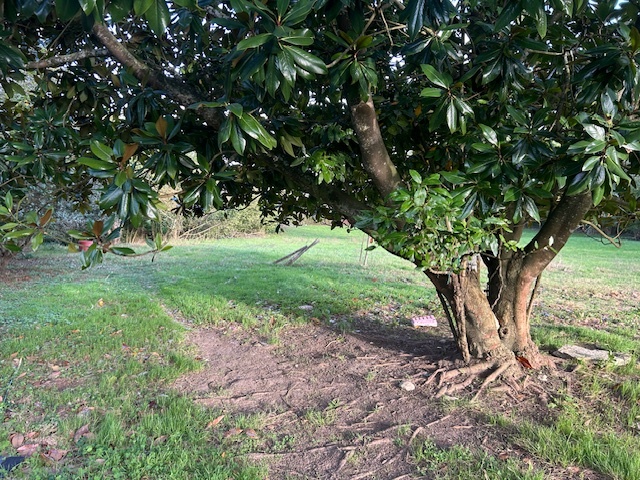 CASONA MONTAÑESA EN CANTABRIA